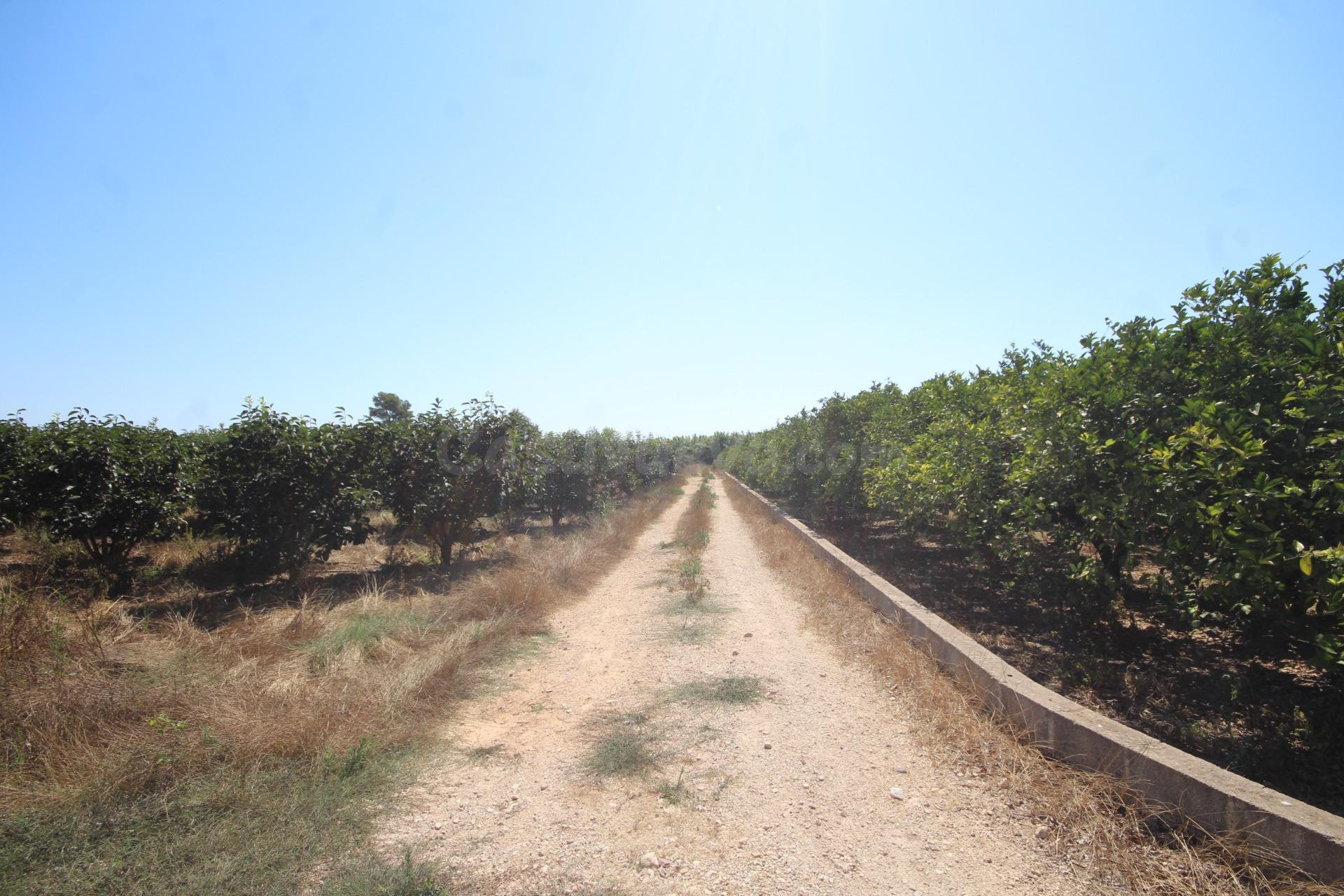 MAGNÍFICA FINCA RÚSTICA DE MÁS DE 40.900 M2 CON EXPLOTACIÓN  - foto 5