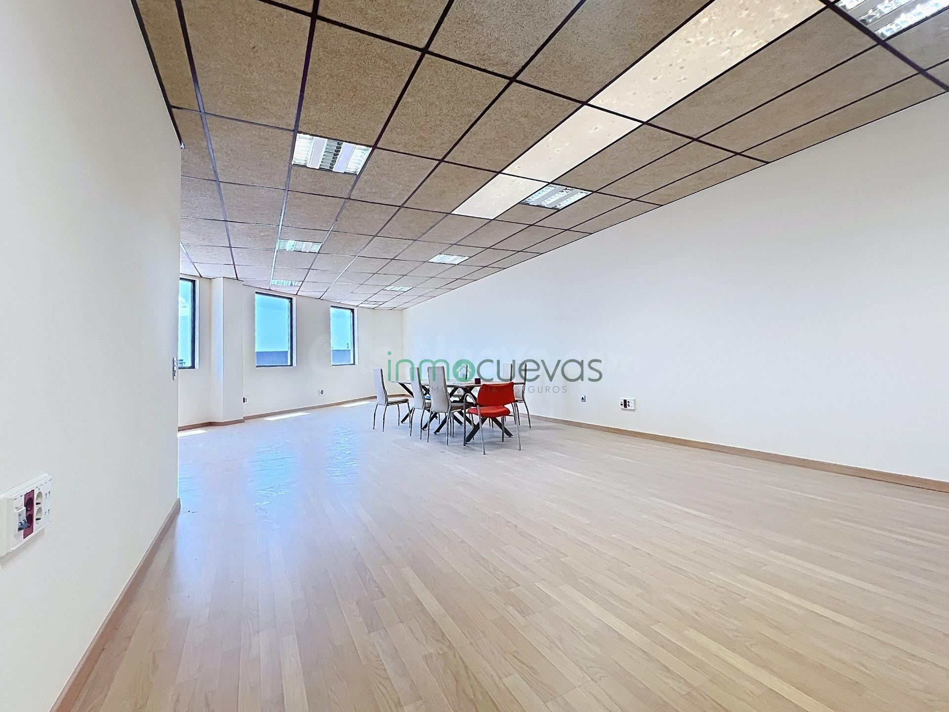 NAVE INDUSTRIAL EN ALQUILER EN EL POLÍGONO DE ANTAS – UBICAC - foto 3