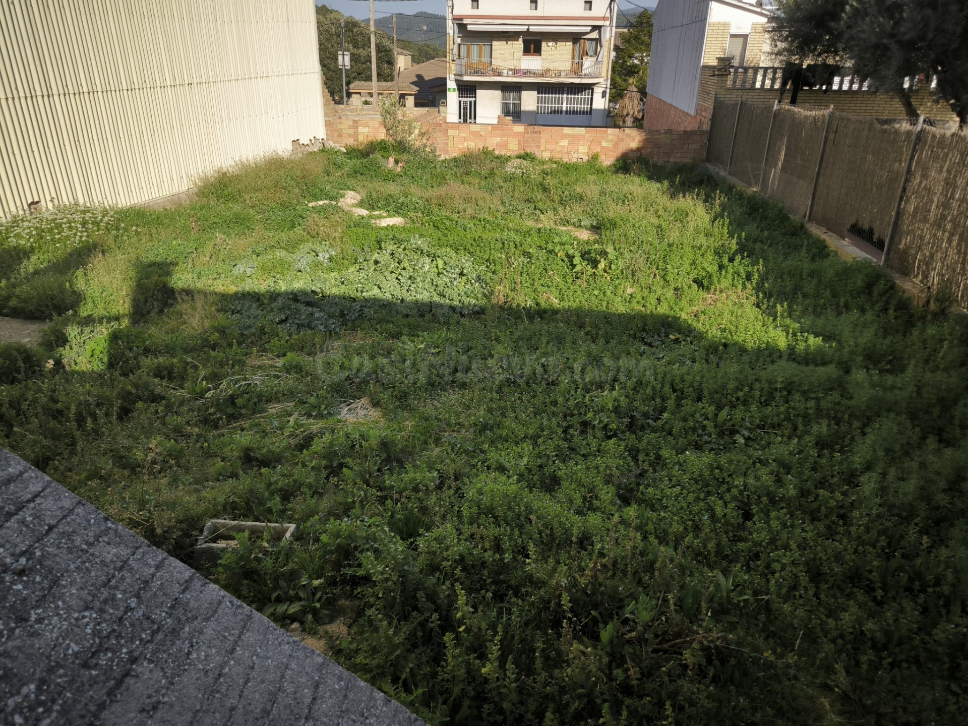 Avinyó. Es ven terreny a la millor zona del poble. Ideal per - foto 5
