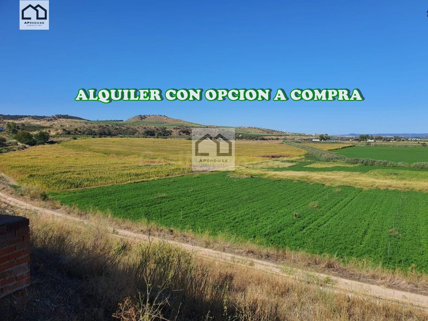 APIHOUSE VENDE FINCA DE REGADIO EN LA VEGA DEL RIO TAJO.   P
