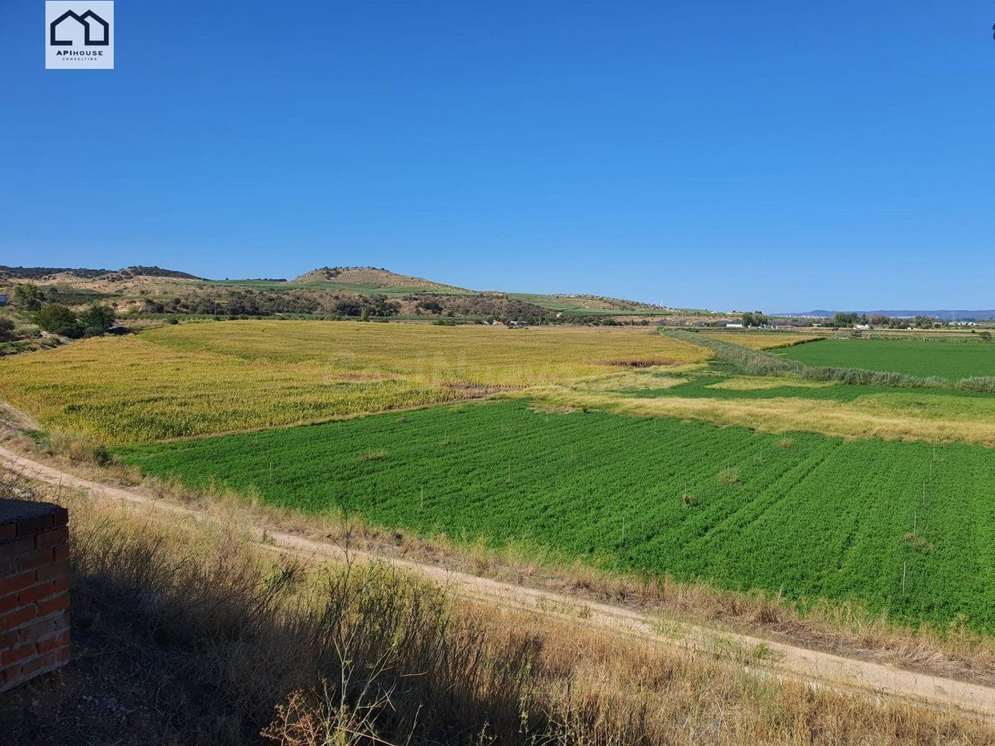 APIHOUSE VENDE FINCA DE REGADIO EN LA VEGA DEL RIO TAJO.   P - foto 2