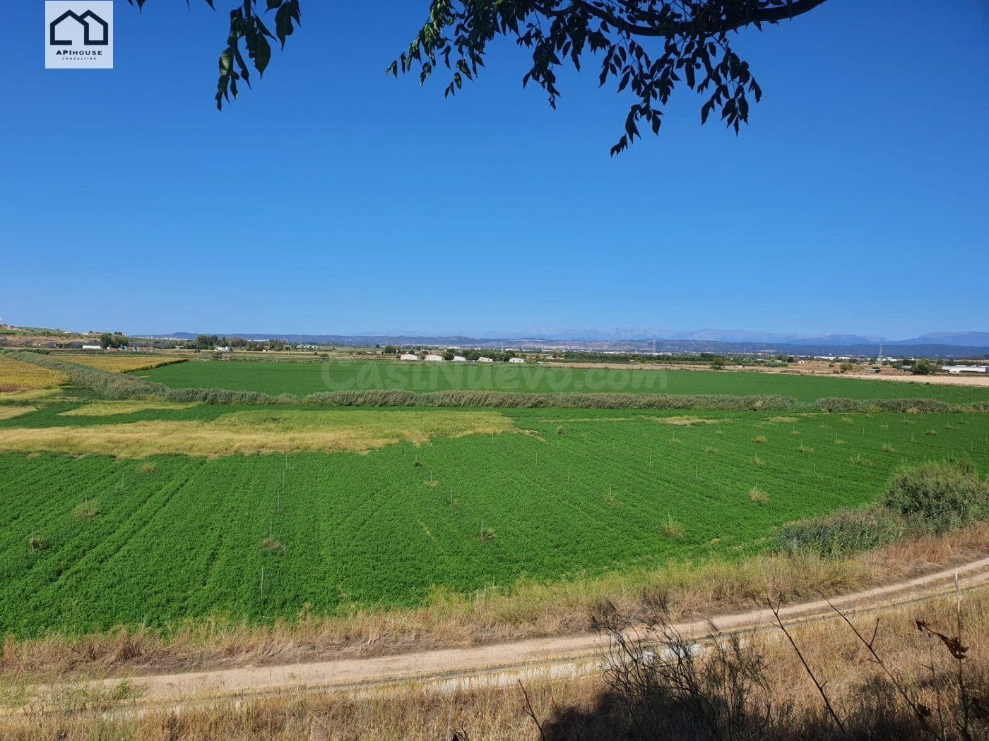 APIHOUSE VENDE FINCA DE REGADIO EN LA VEGA DEL RIO TAJO.   P - foto 3
