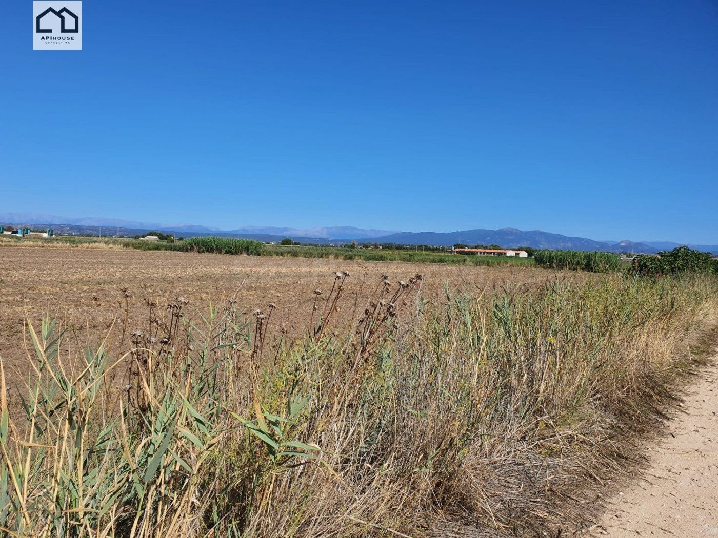 APIHOUSE VENDE FINCA DE REGADIO EN LA VEGA DEL RIO TAJO.   P - foto 4