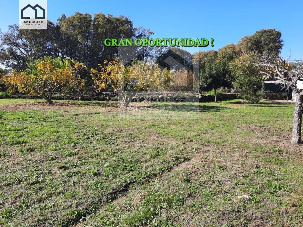 APIHOUSE VENDE TERRENO RUSTICO EN CANDELEDA. PRECIO DE VENTA