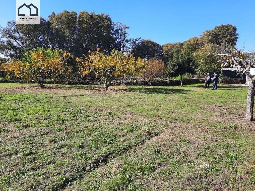 APIHOUSE VENDE TERRENO RUSTICO EN CANDELEDA. PRECIO DE VENTA - foto 2