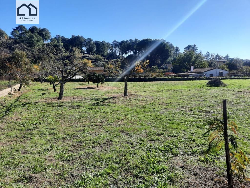 APIHOUSE VENDE TERRENO RUSTICO EN CANDELEDA. PRECIO DE VENTA - foto 3