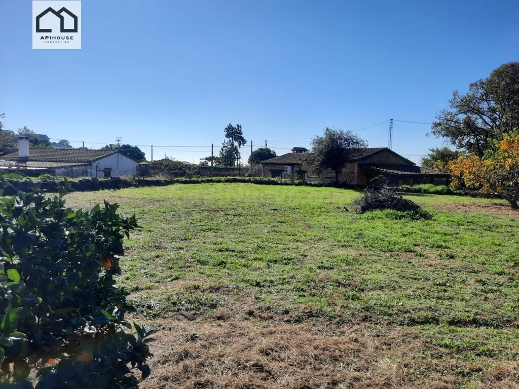 APIHOUSE VENDE TERRENO RUSTICO EN CANDELEDA. PRECIO DE VENTA - foto 4