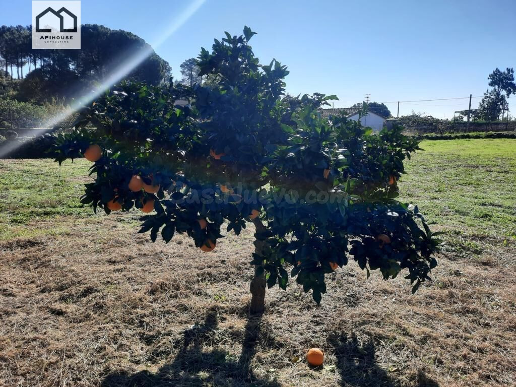 APIHOUSE VENDE TERRENO RUSTICO EN CANDELEDA. PRECIO DE VENTA - foto 5