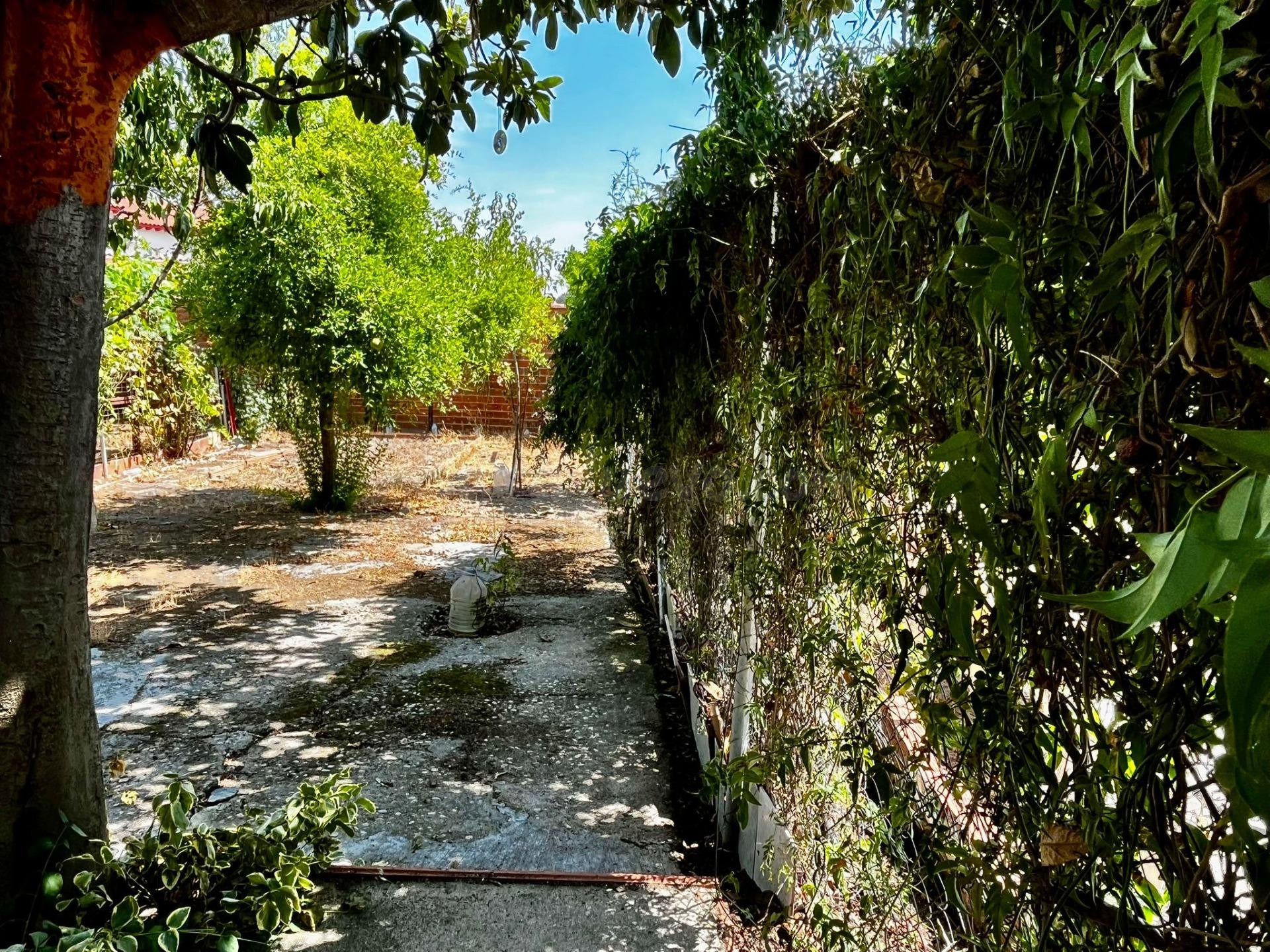 APIHOUSE VENDE CASA DE PUEBLO EN PLANTA BAJA Y JARDIN EN LUC - foto 3