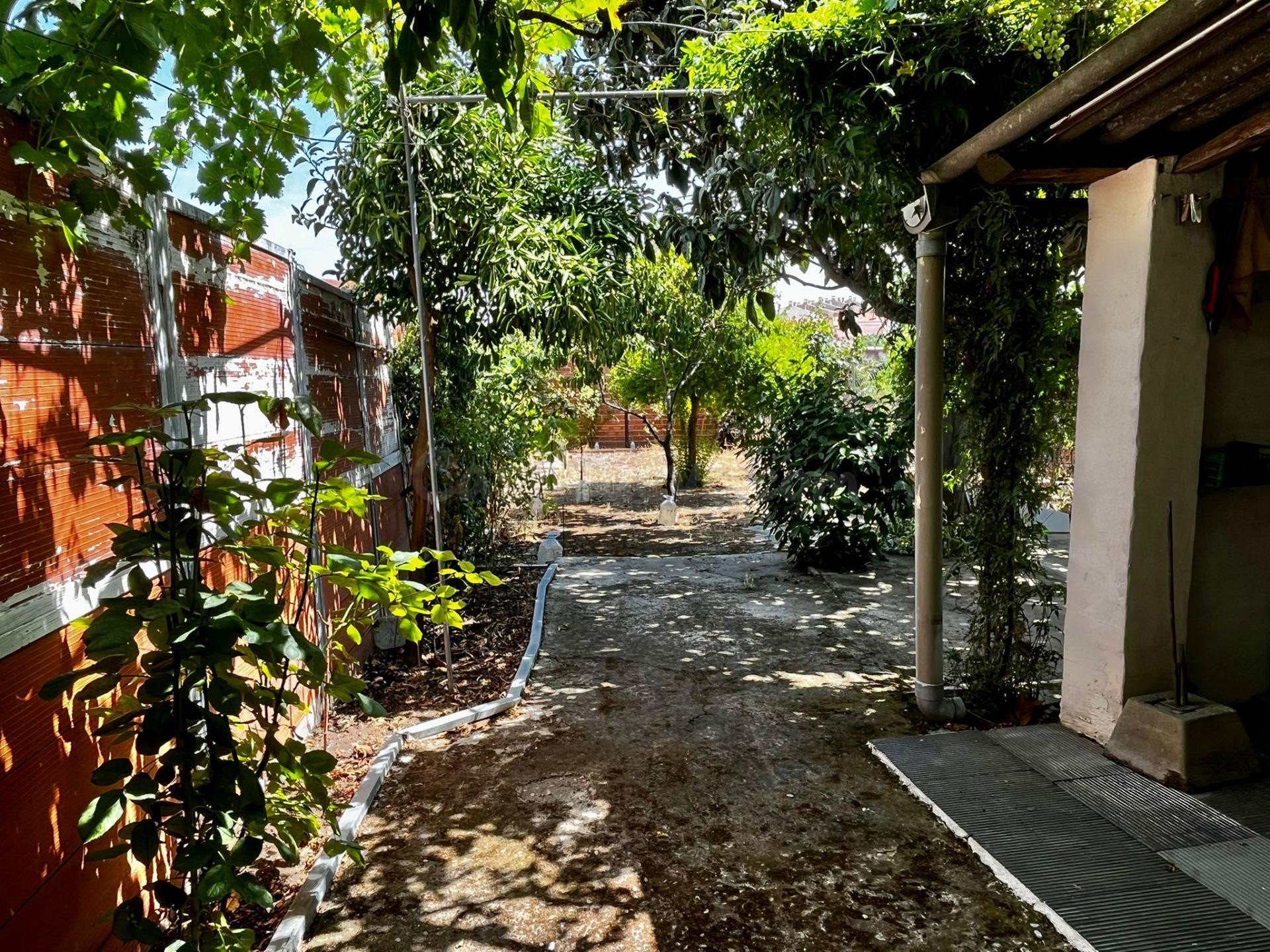 APIHOUSE VENDE CASA DE PUEBLO EN PLANTA BAJA Y JARDIN EN LUC - foto 4