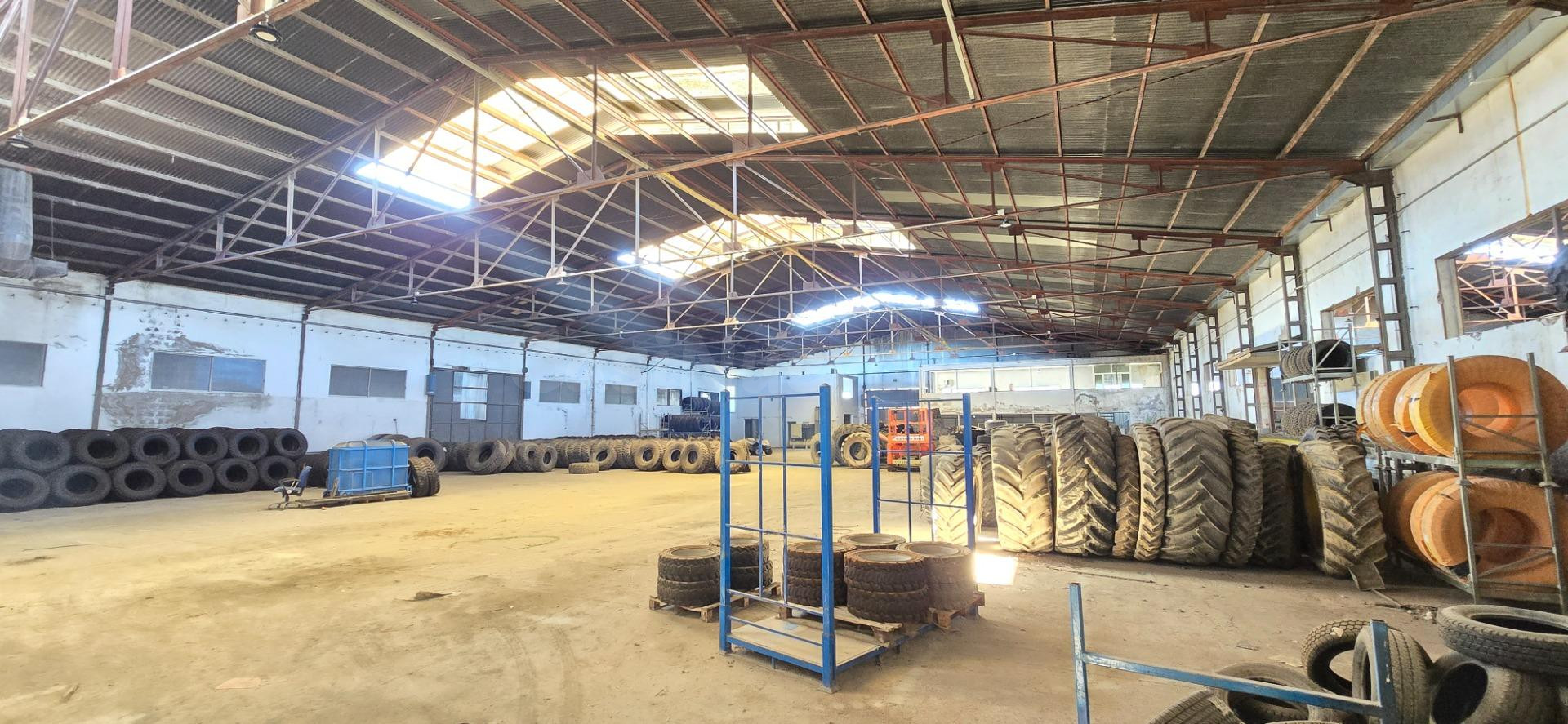 GRAN OPORTUNIDAD DE ALQUILER INDUSTRIAL EN ALGEZARES (MURCIA - foto 5