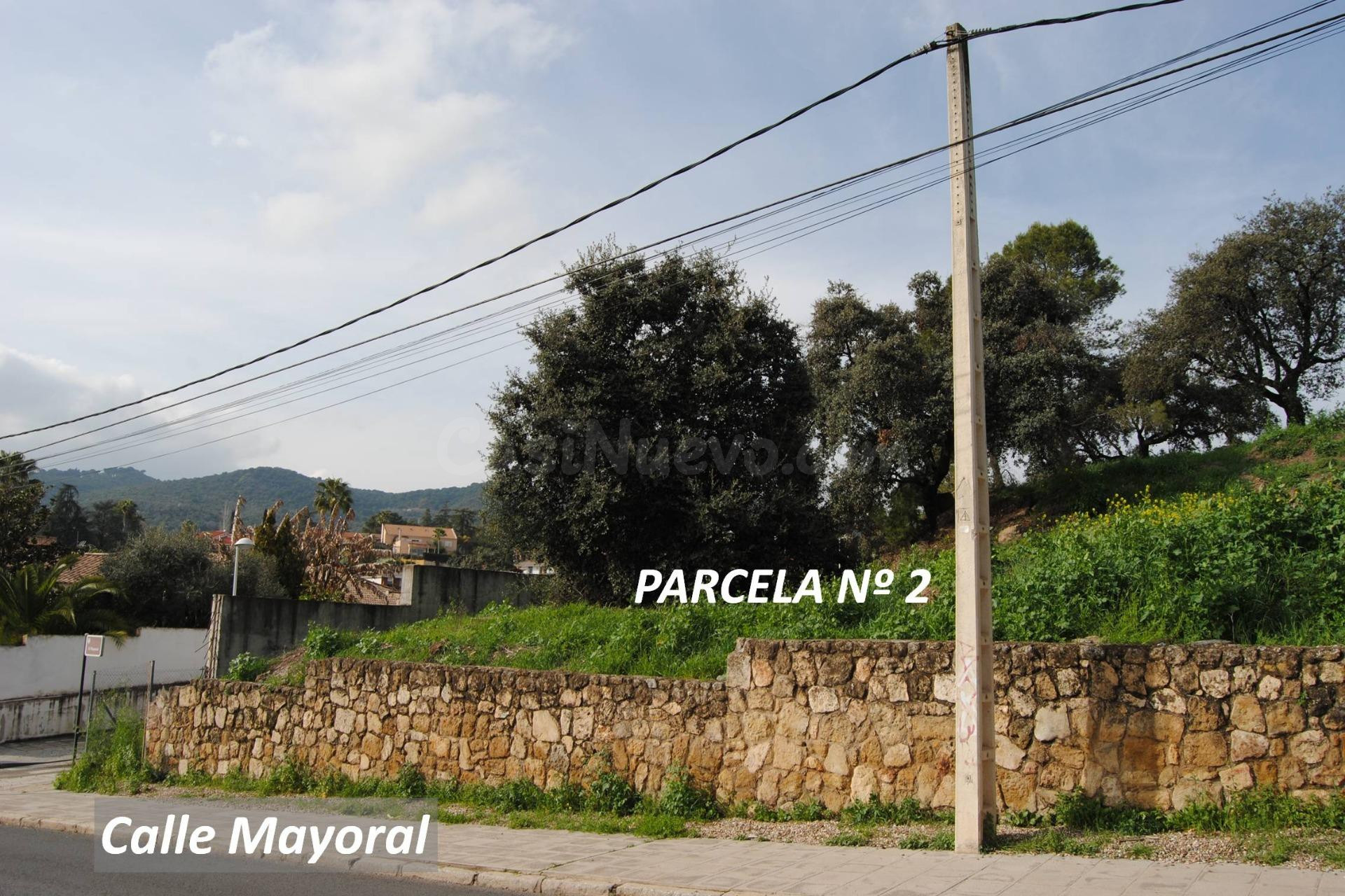 Parcela de casi 1.000 m2, en esquina, en plena calle Mayoral - foto 4