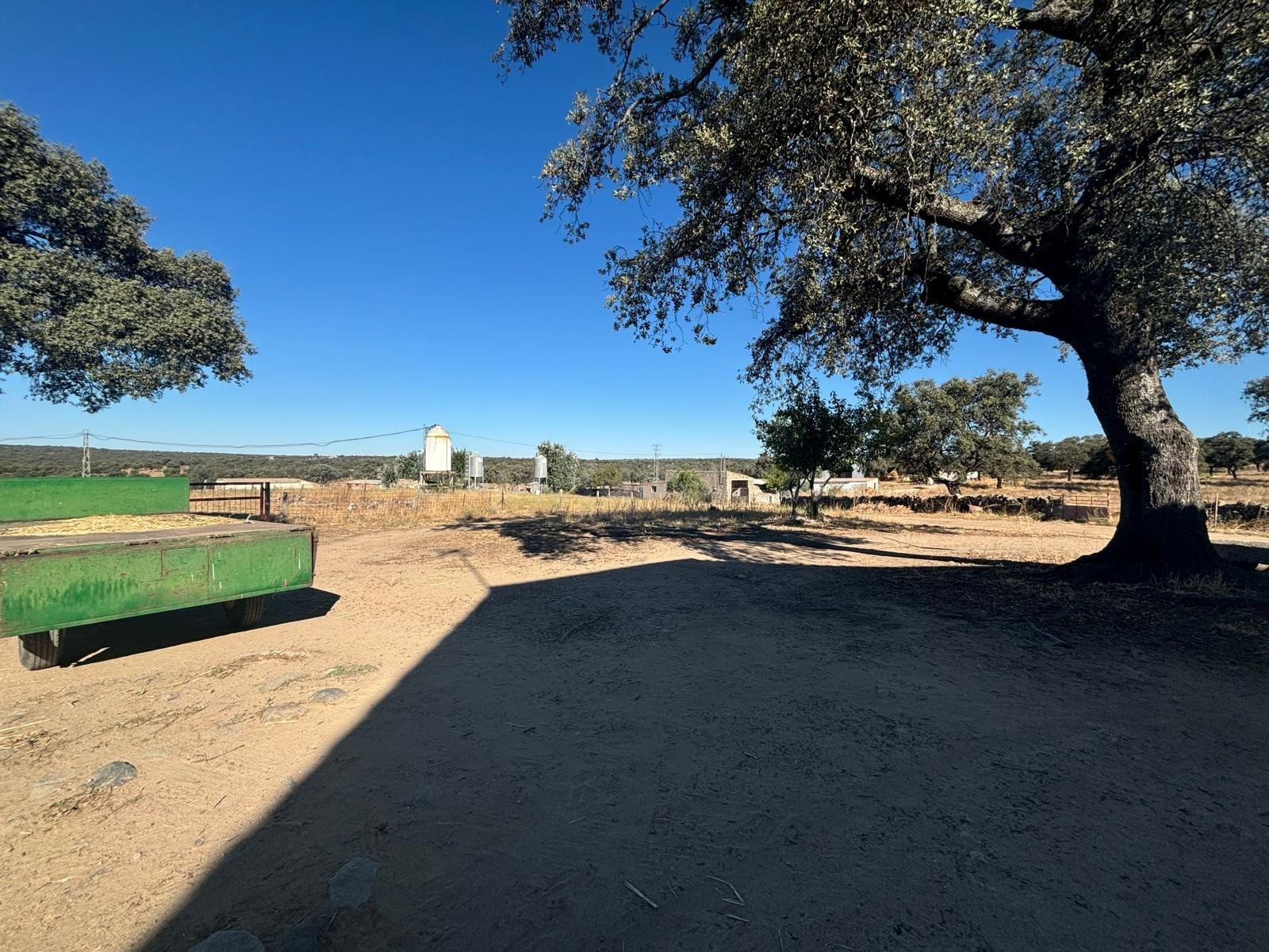 Venta de Finca Agricola y Ganadera en Pozoblanco!!! - foto 3
