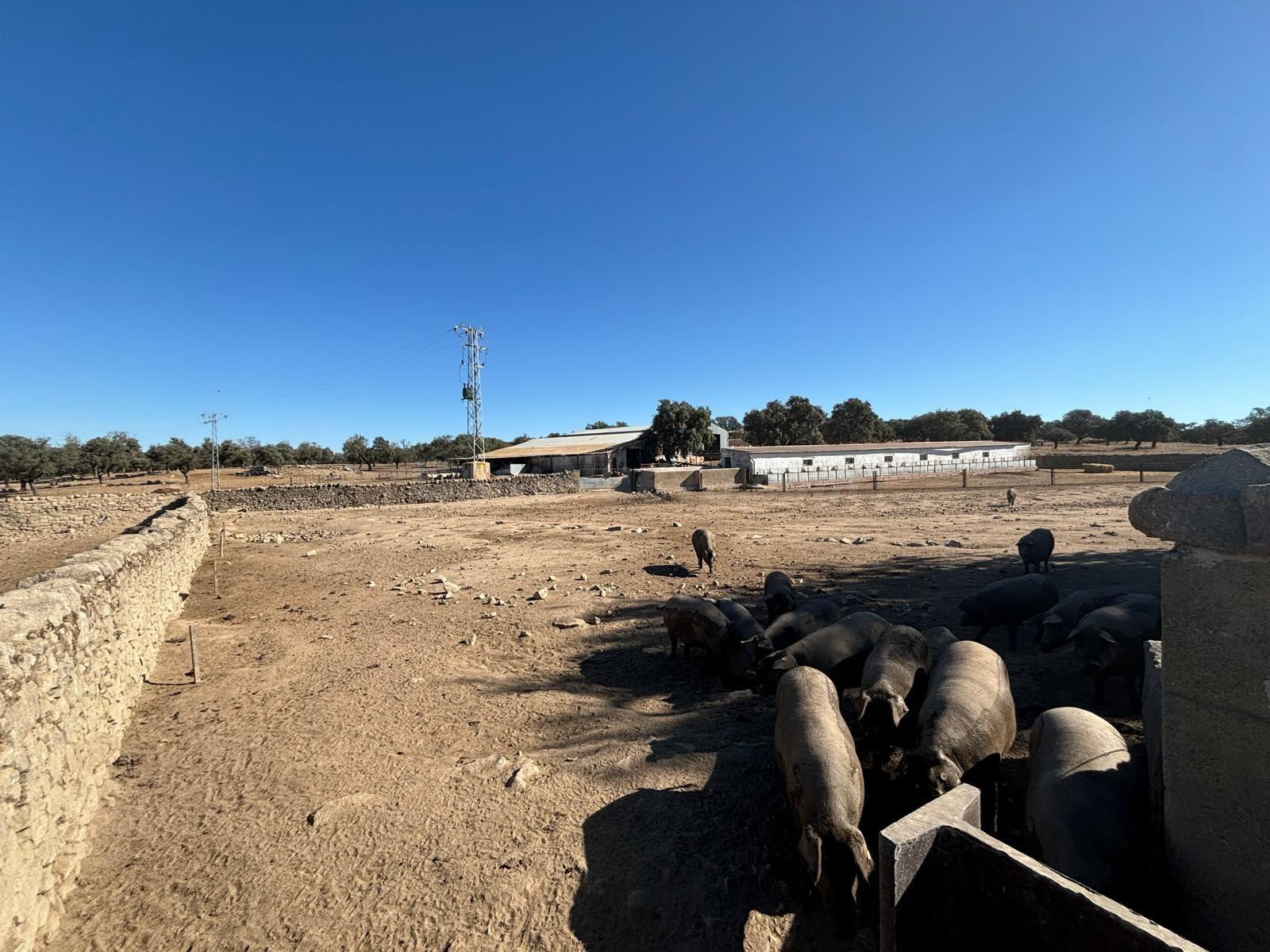 Venta de Finca Agricola y Ganadera en Pozoblanco!!! - foto 4