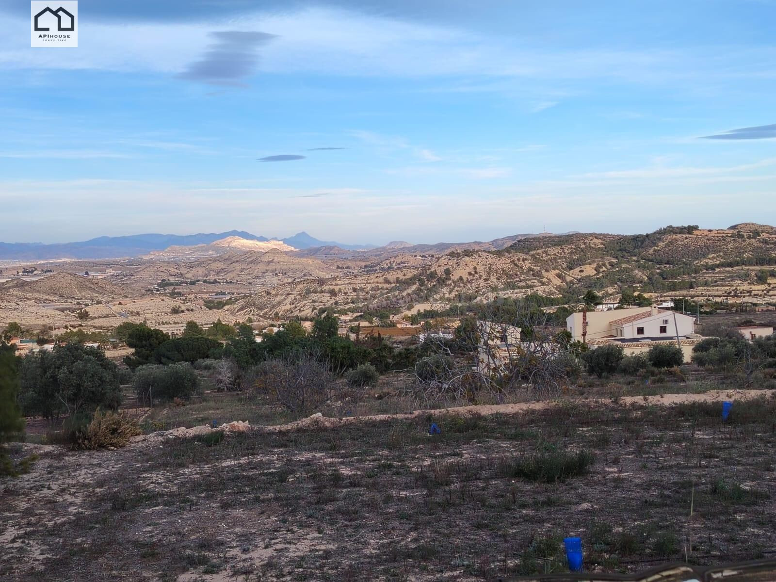 APIHOUSE VENDE TERRENO GRAN TERRENO URBANO EN ASPE. PRECIO 1 - foto 5