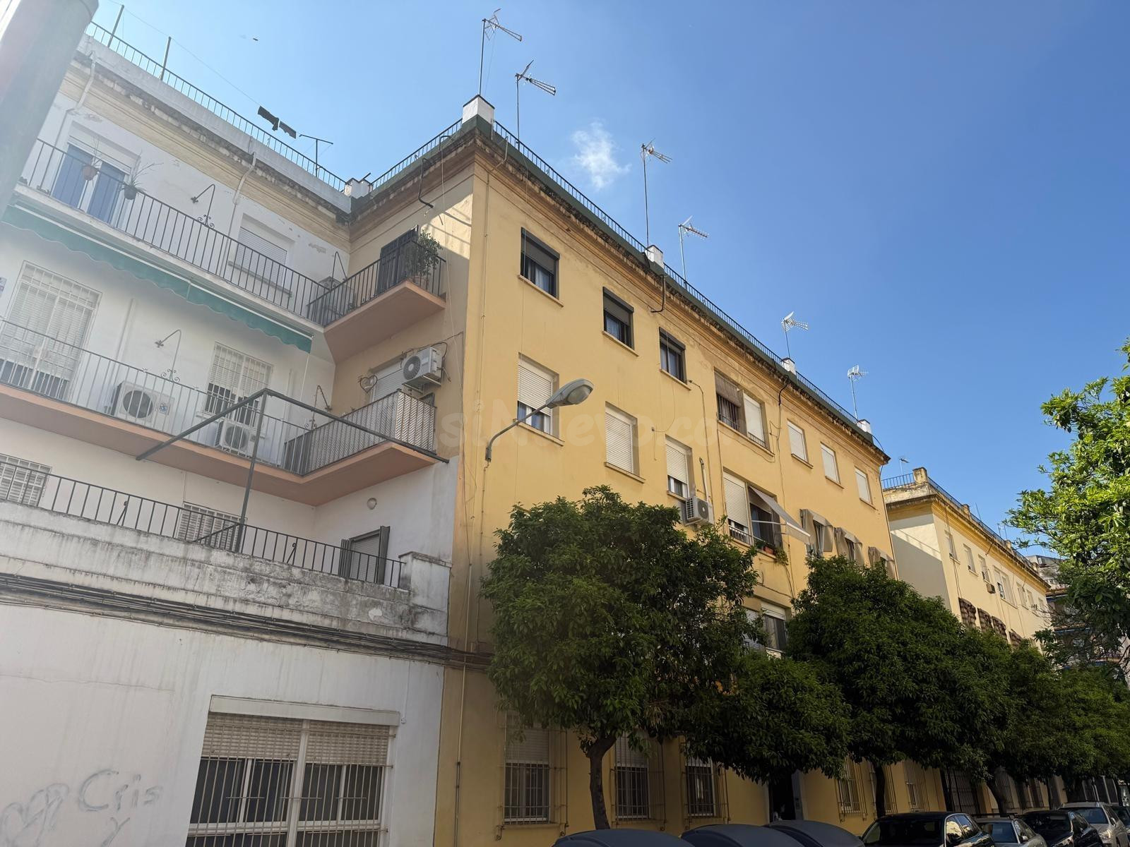 Piso en Ciudad Jardín, con 3 dormitorios y 1 baño, con trastero y ascensor!!! - foto 3