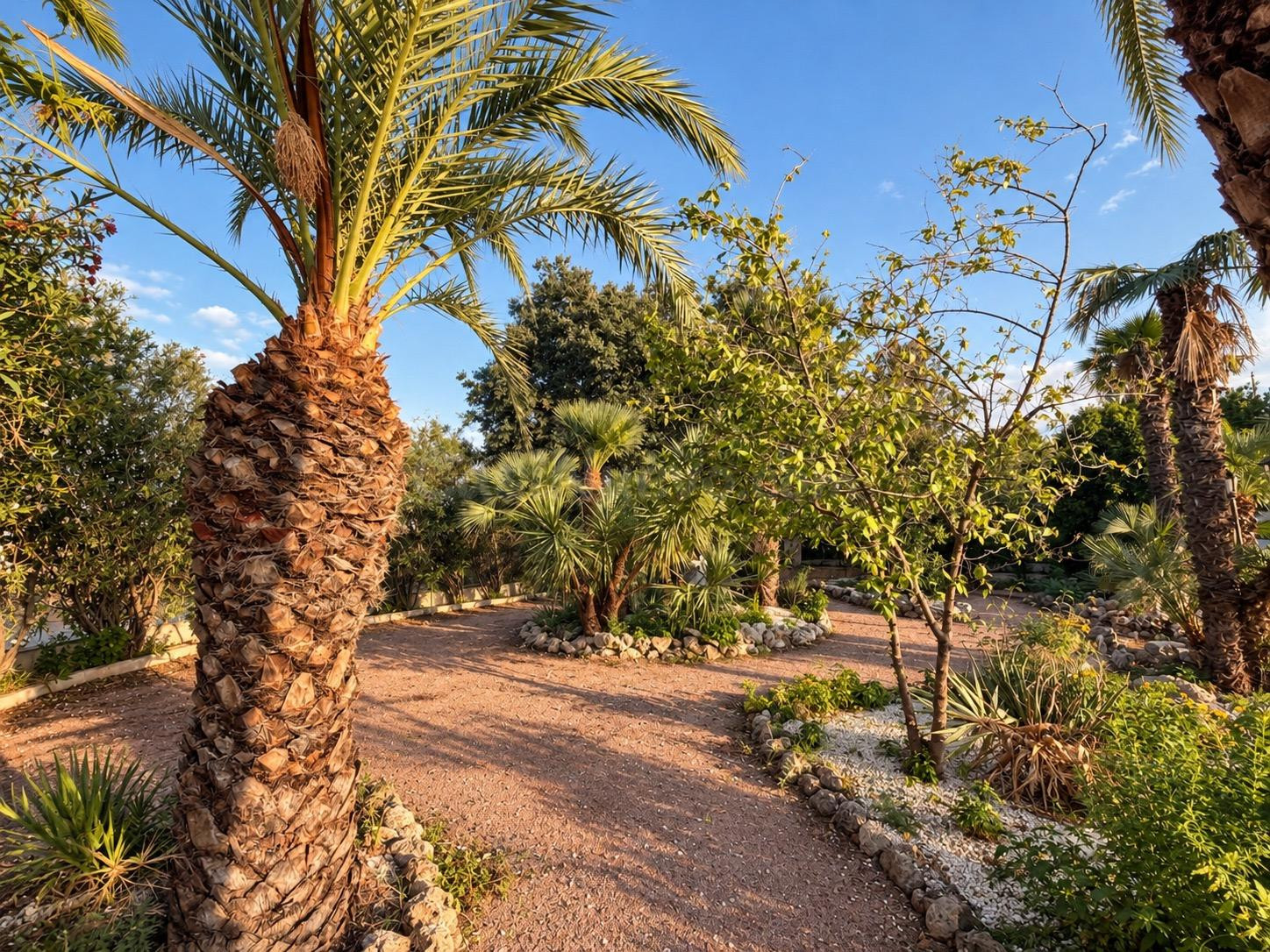 ✨ EXCLUSIVO CORTIJO EN CEHEGÍN · 10.908 m2 DE PRIVACIDAD, NA - foto 3