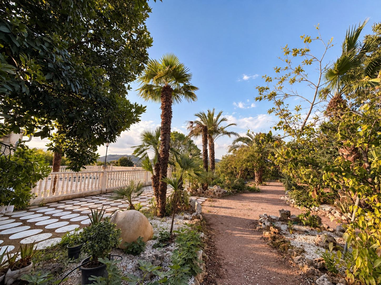 ✨ EXCLUSIVO CORTIJO EN CEHEGÍN · 10.908 m2 DE PRIVACIDAD, NA - foto 4