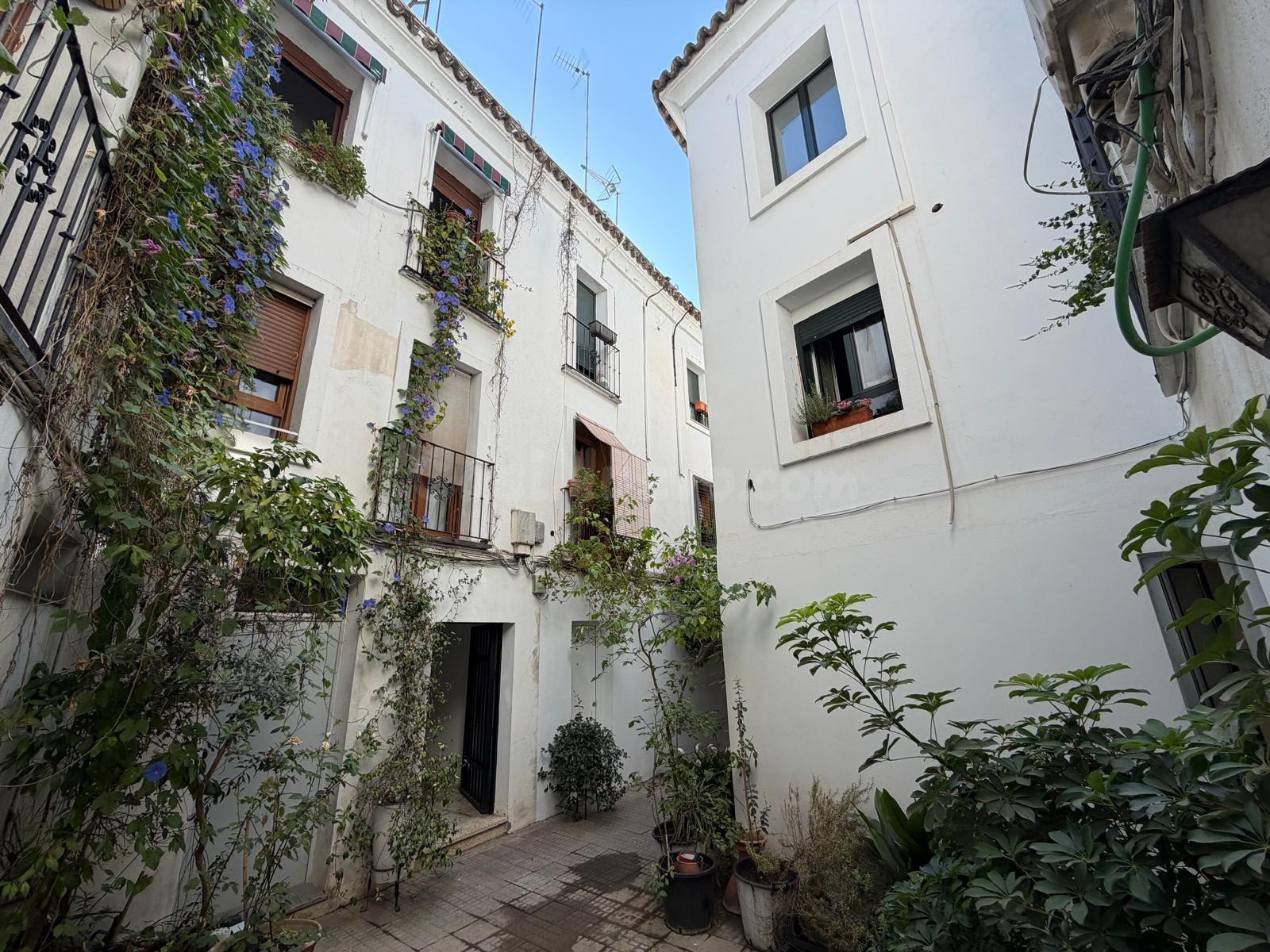 Piso reformado con licencia turística, 2 habitaciones y 1 baño, 5 minutos de La Mezquita!