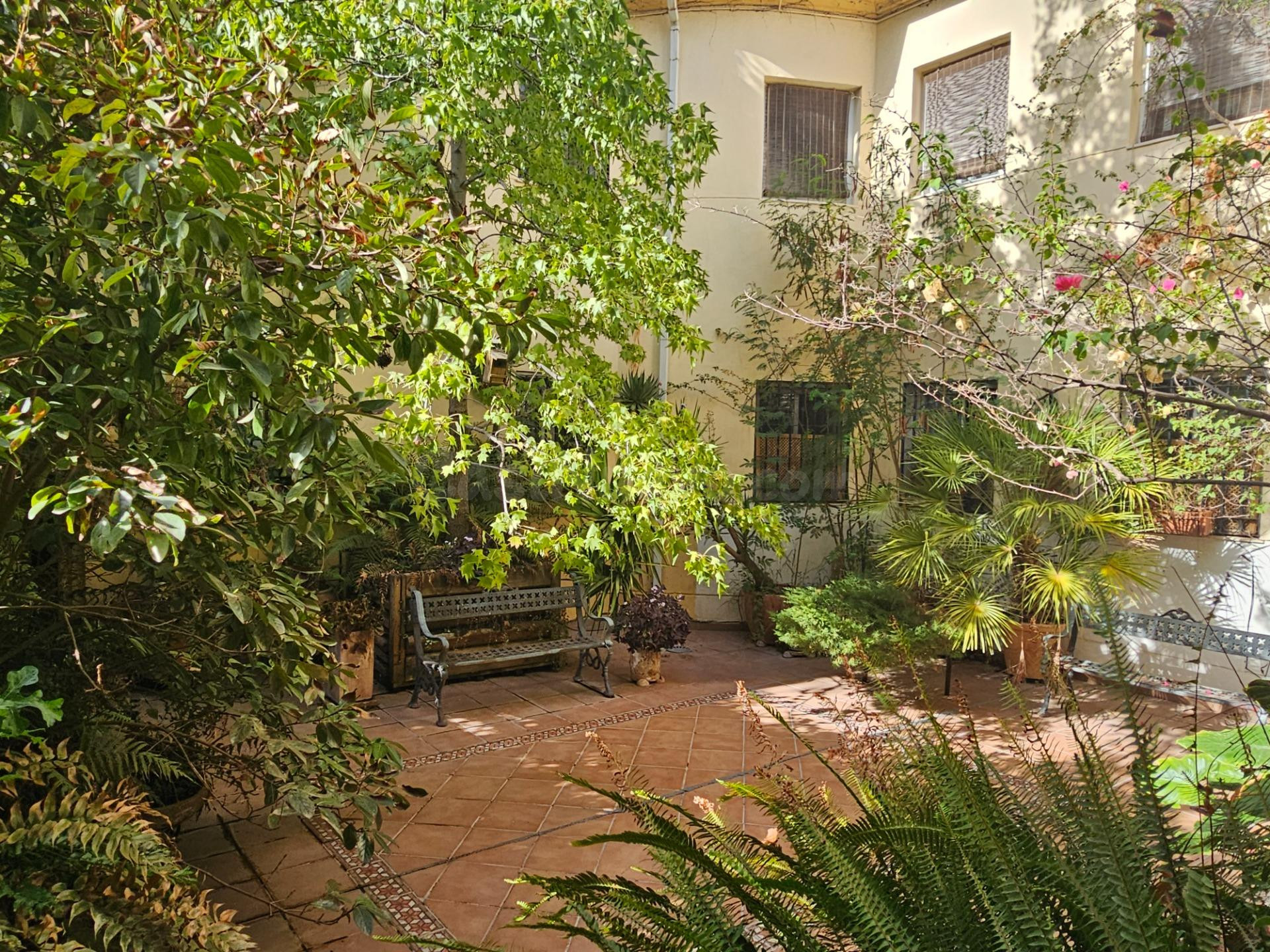 ¿Te gustan las plantas? Aquí tienes tu particular oasis junt - foto 4