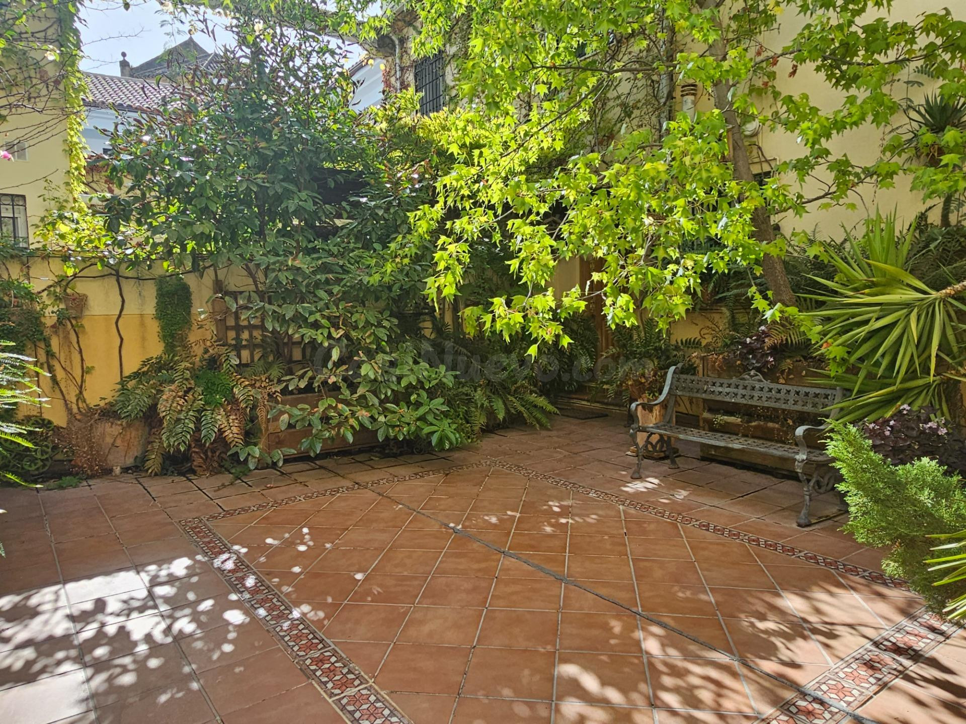 ¿Te gustan las plantas? Aquí tienes tu particular oasis junt - foto 5