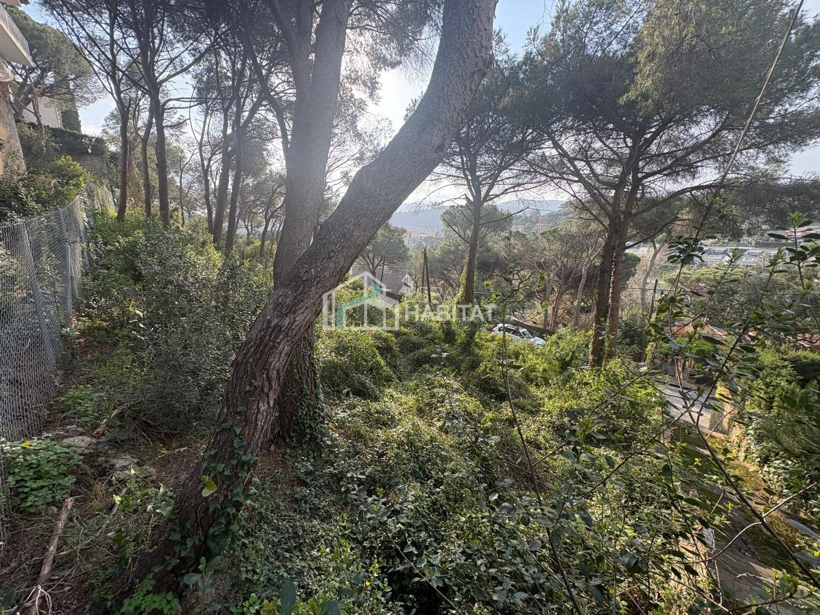 ESTA BUSCANDO PARCELA PARA CONSTRUIR SU CASA?? AQUÍ LA TIENE - foto 2