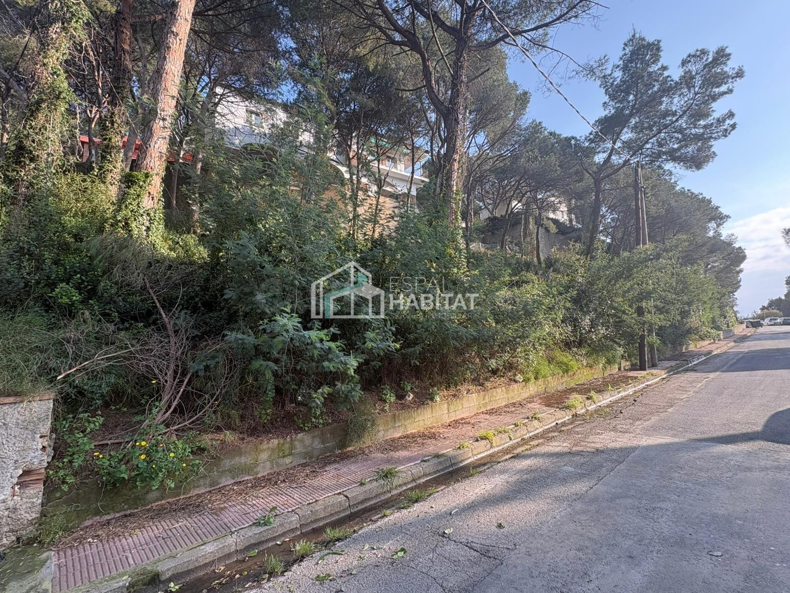 ESTA BUSCANDO PARCELA PARA CONSTRUIR SU CASA?? AQUÍ LA TIENE - foto 3