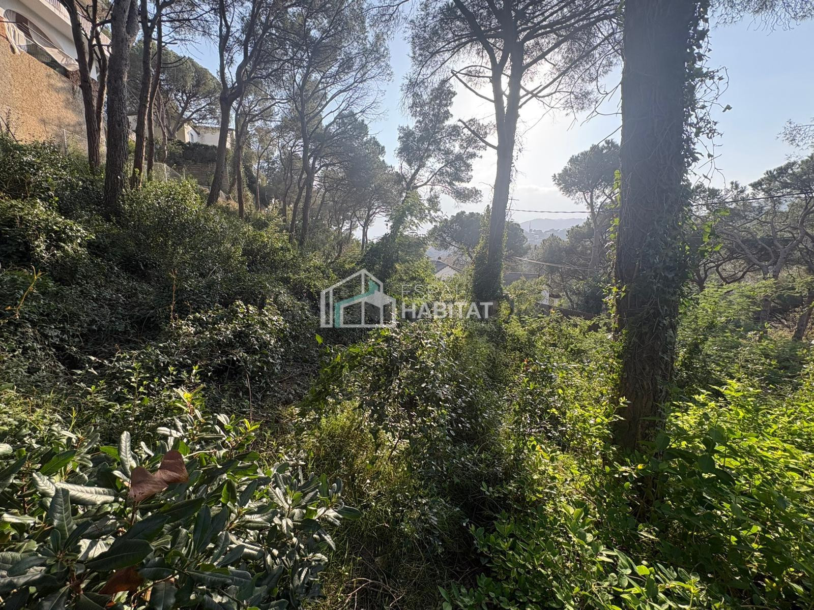 ESTA BUSCANDO PARCELA PARA CONSTRUIR SU CASA?? AQUÍ LA TIENE - foto 4