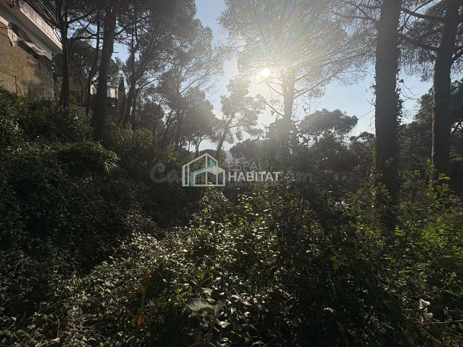 ESTA BUSCANDO PARCELA PARA CONSTRUIR SU CASA?? AQUÍ LA TIENE - foto 5