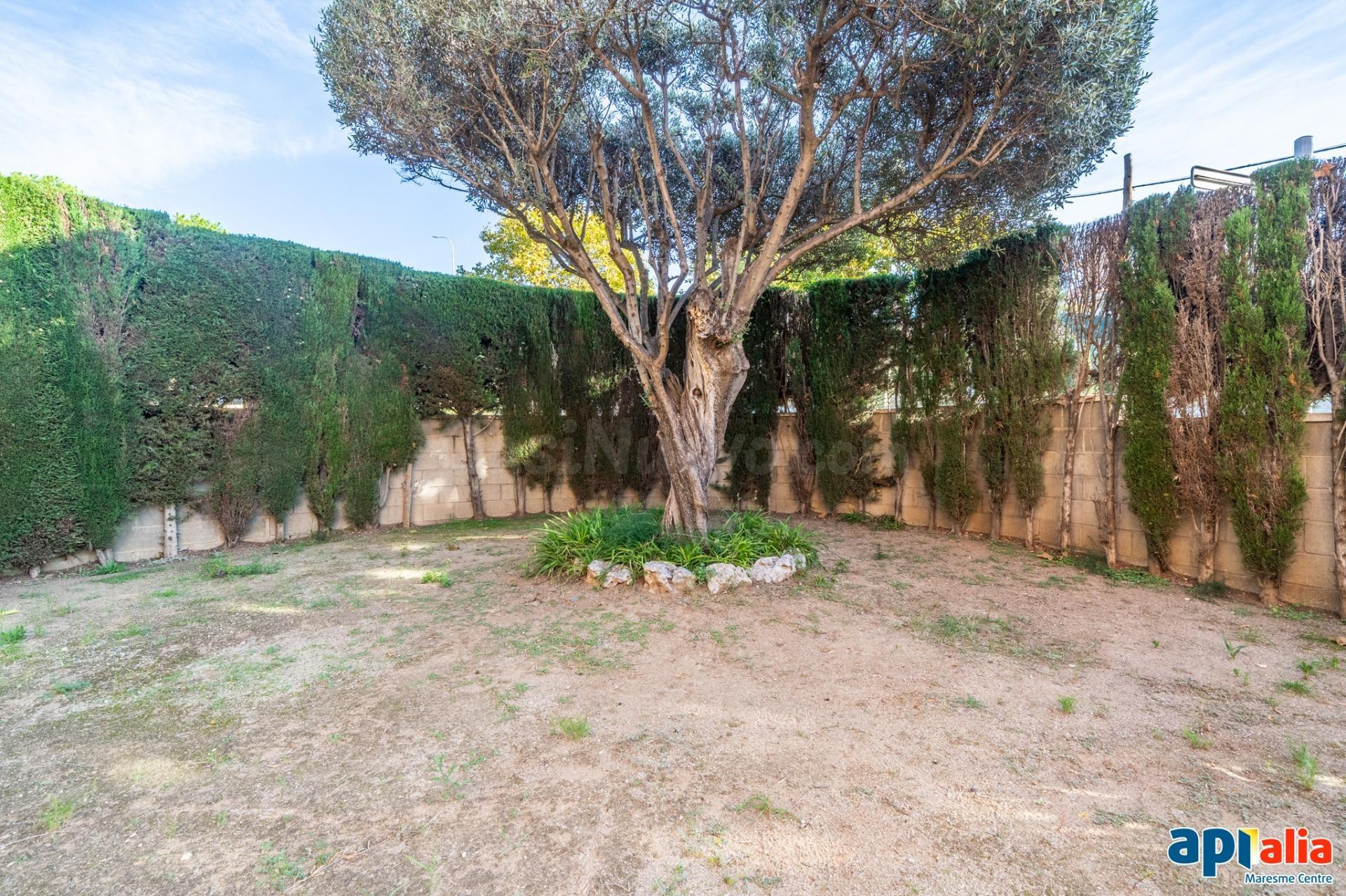 Casa 4 habitaciones 225m² en venta - Califòrnia-Santa Madron - foto 5