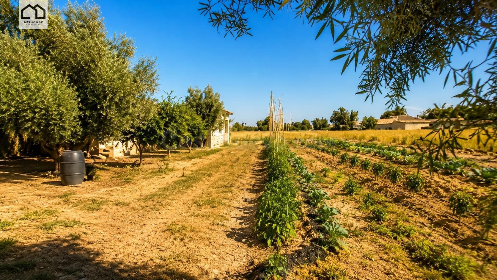 APIHOUSE VENDE AMPLIA FINCA RUSTICA ! GRAN OPORTUNIDAD ! - foto 3