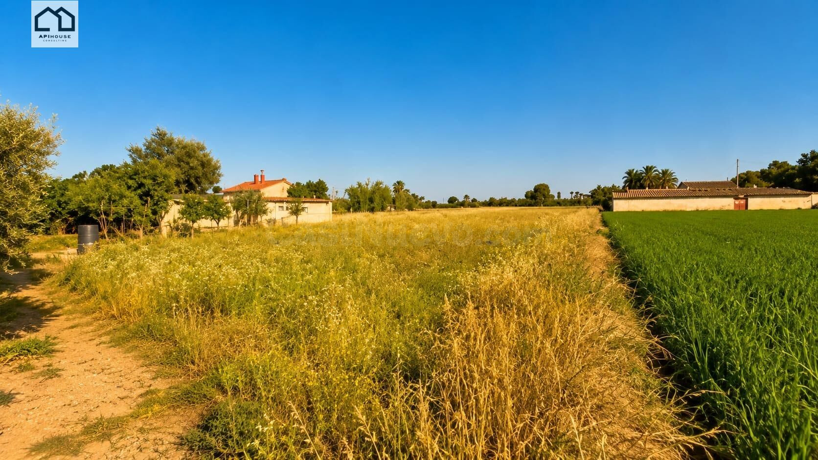 APIHOUSE VENDE AMPLIA FINCA RUSTICA ! GRAN OPORTUNIDAD ! - foto 4