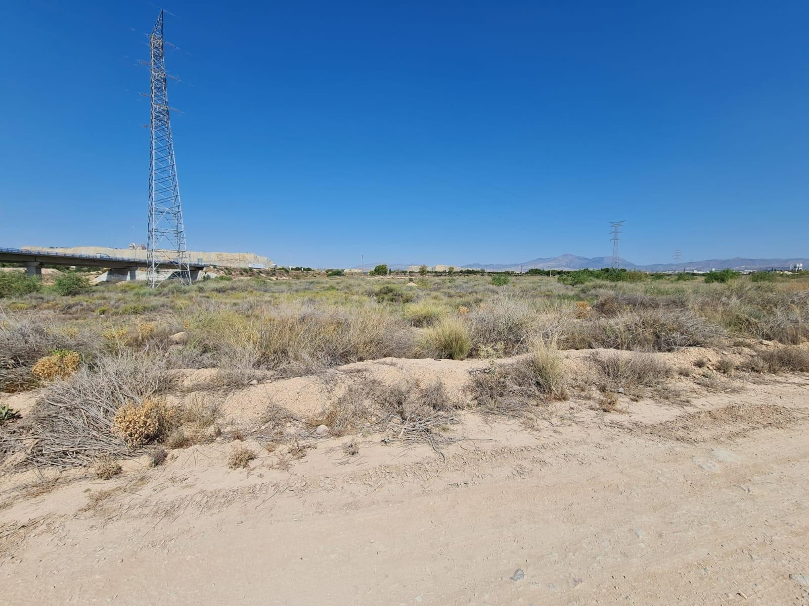 Terreno rural en venta - Alicante-San Vicente del Raspeig - foto 3