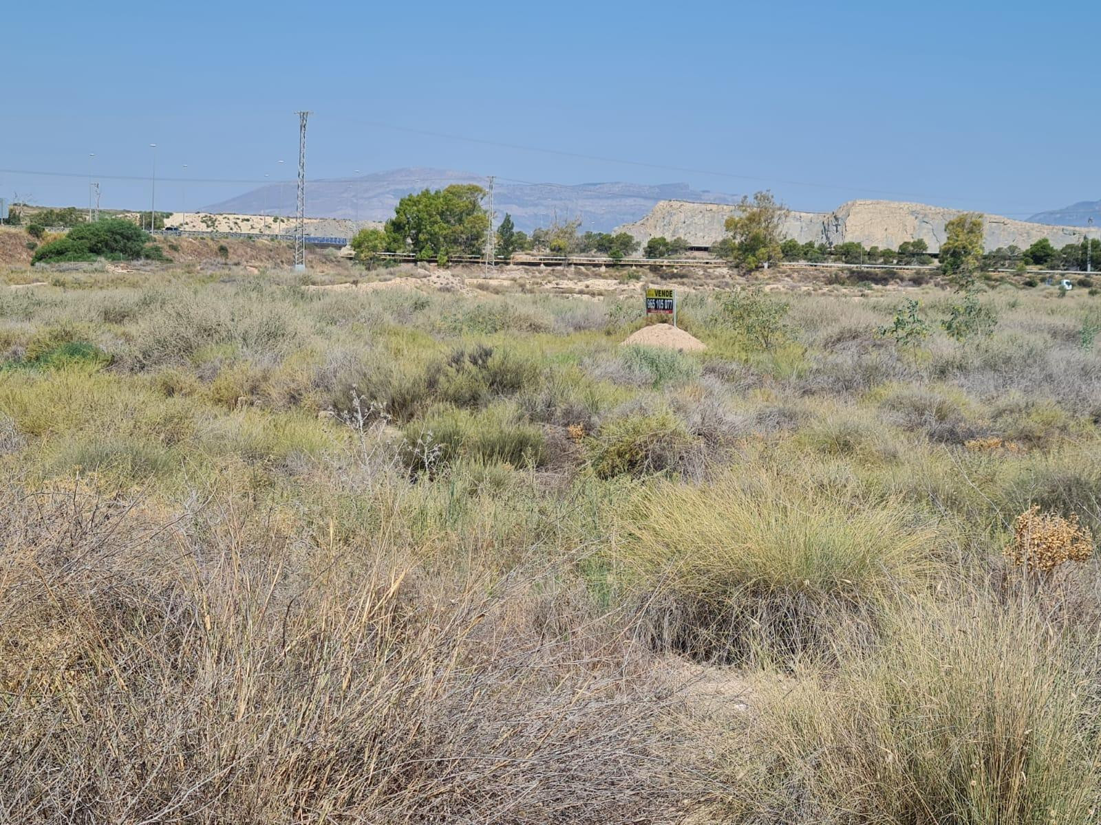 Terreno rural en venta - Alicante-San Vicente del Raspeig - foto 5