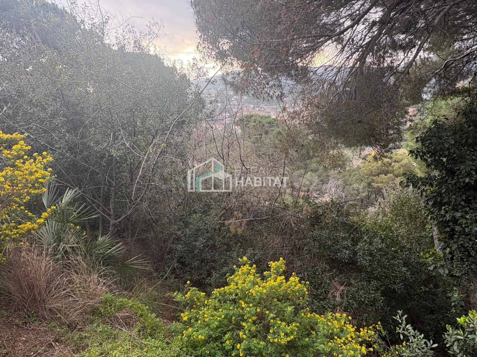 ESTA BUSCANDO PARCELA PARA CONSTRUIR SU CASA?? AQUÍ LA TIENE - foto 3