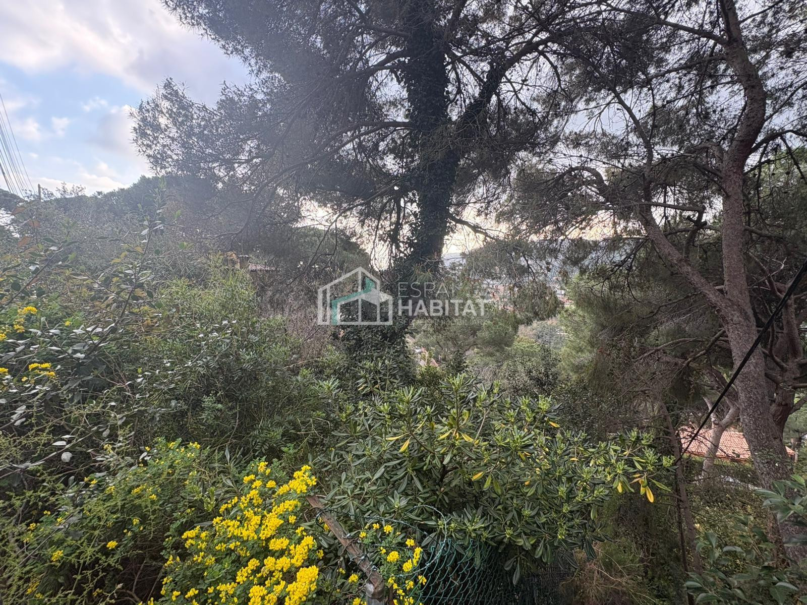ESTA BUSCANDO PARCELA PARA CONSTRUIR SU CASA?? AQUÍ LA TIENE - foto 4