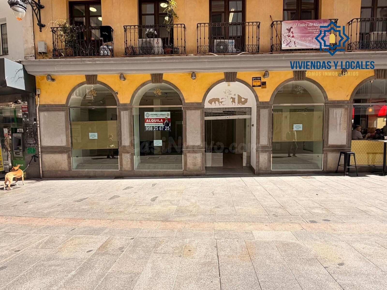 Espectacular local en primera línea comercial de Granada. Calle Alhóndiga