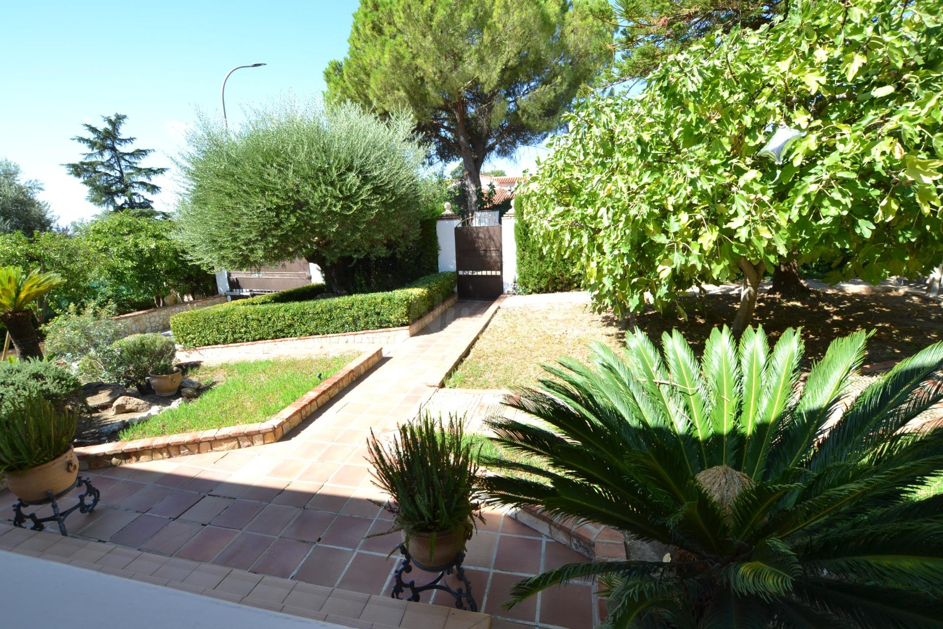 Exclusiva casa en Santa Ana de la Albaida!!!! - foto 5