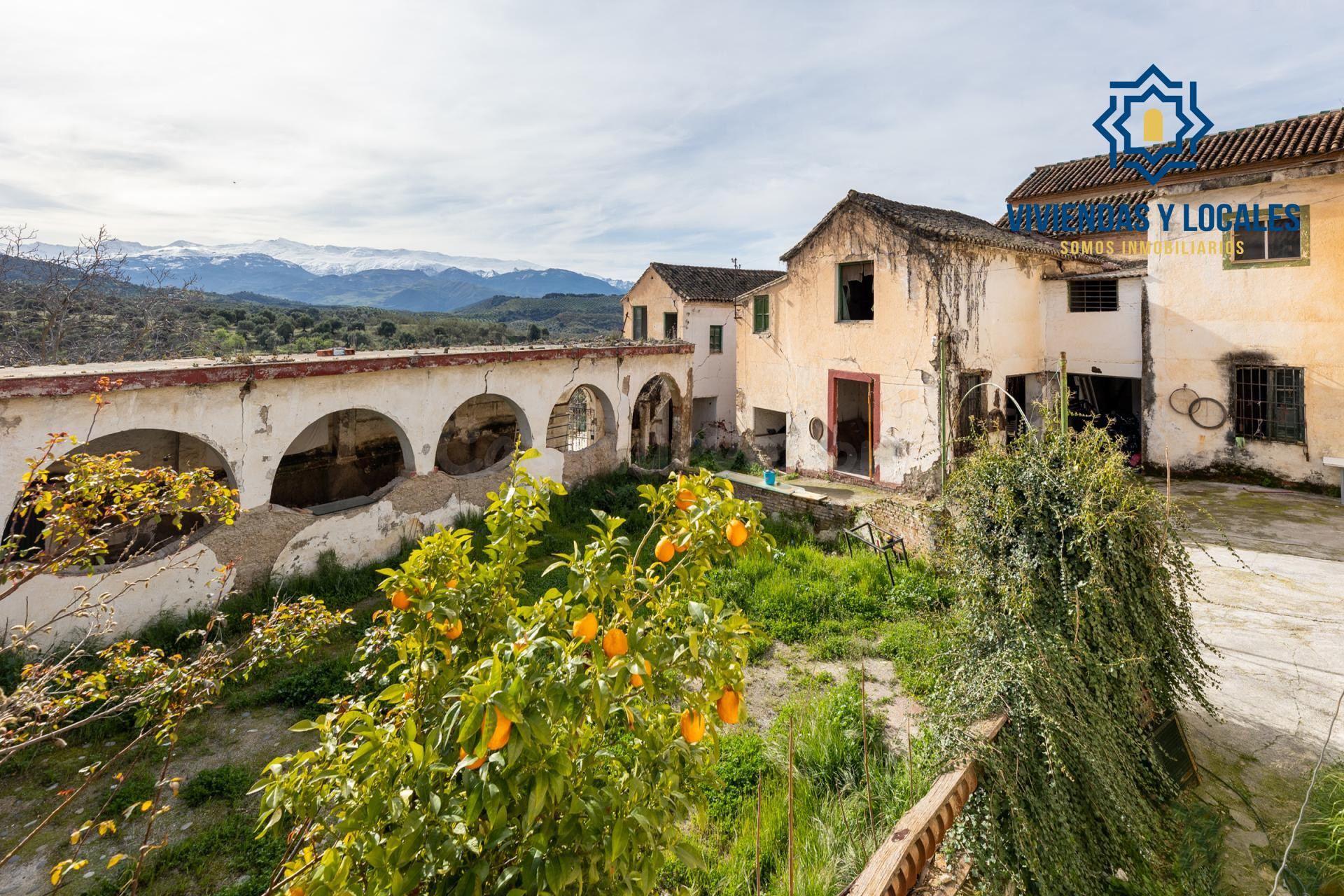 OPORTUNIDAD DE INVERSIÓN EN ALQUERÍA DEL FARGUE