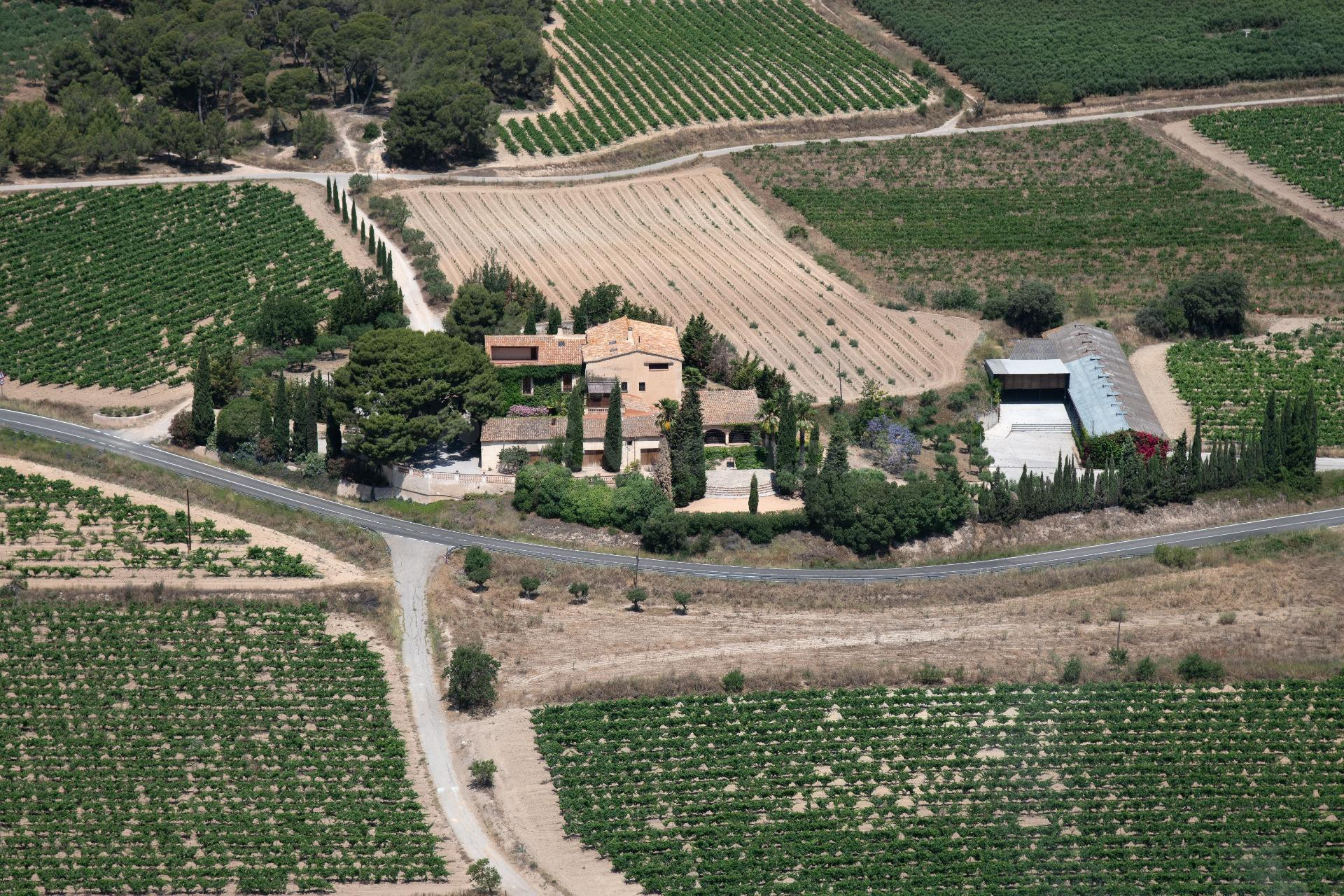 MASIA CAMPAU · UNA HISTORIA VIVA ENTRE VIÑEDOS