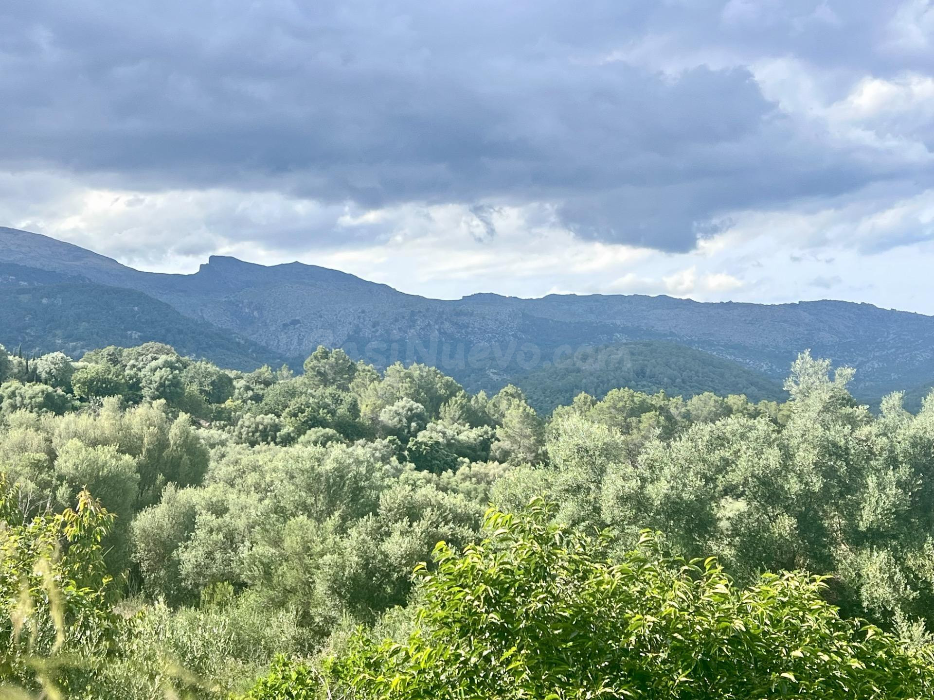 Solares en Campanet