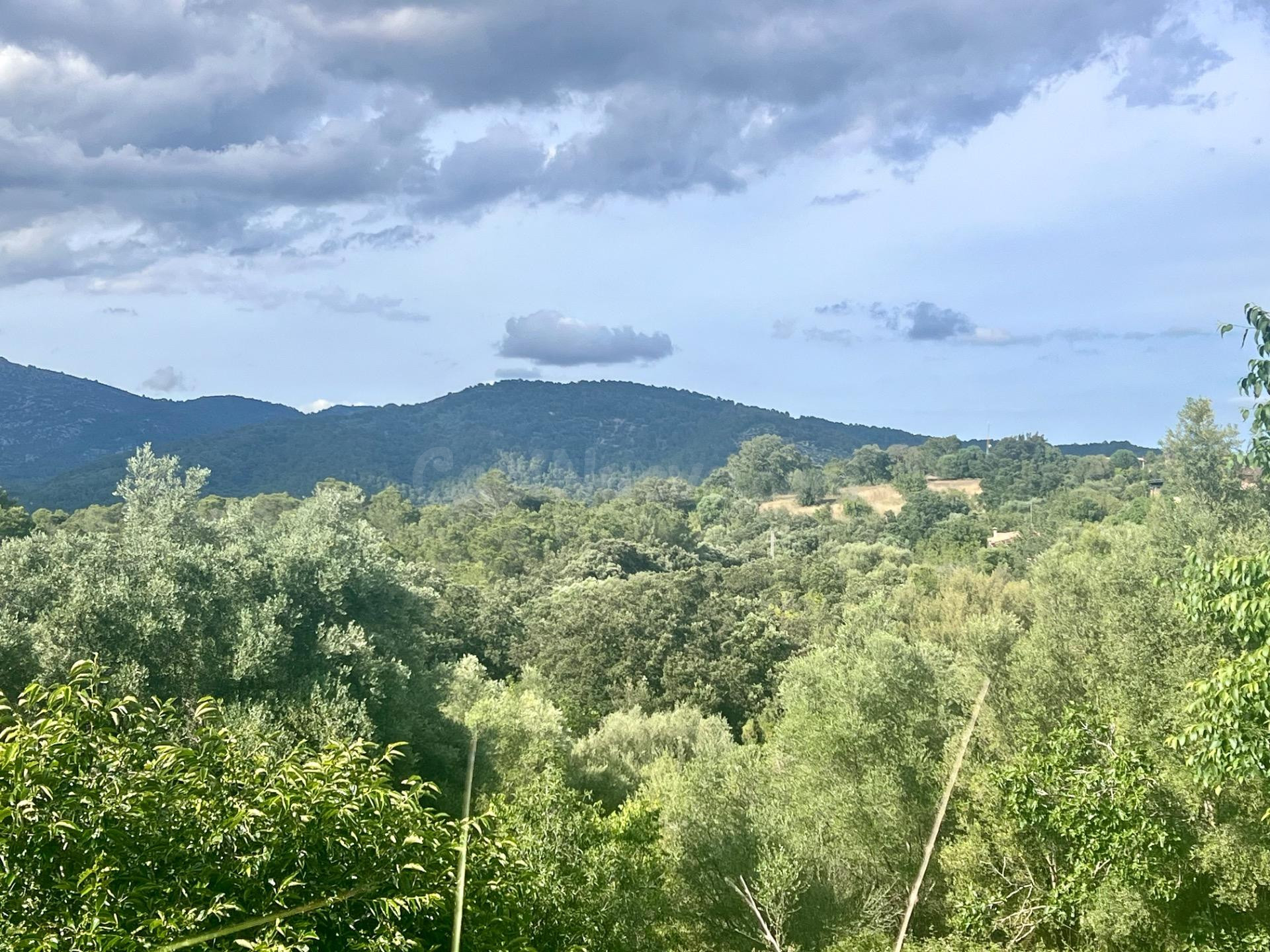 Solares en Campanet - foto 3