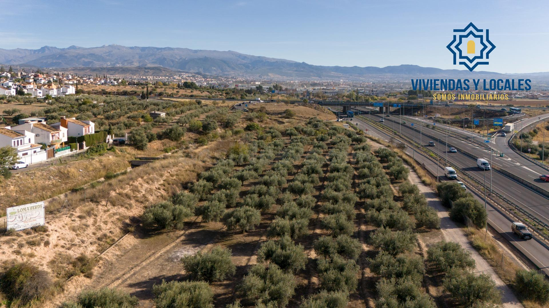 Oportunidad Única en Loma Verde: Suelo Urbano para Vivienda 