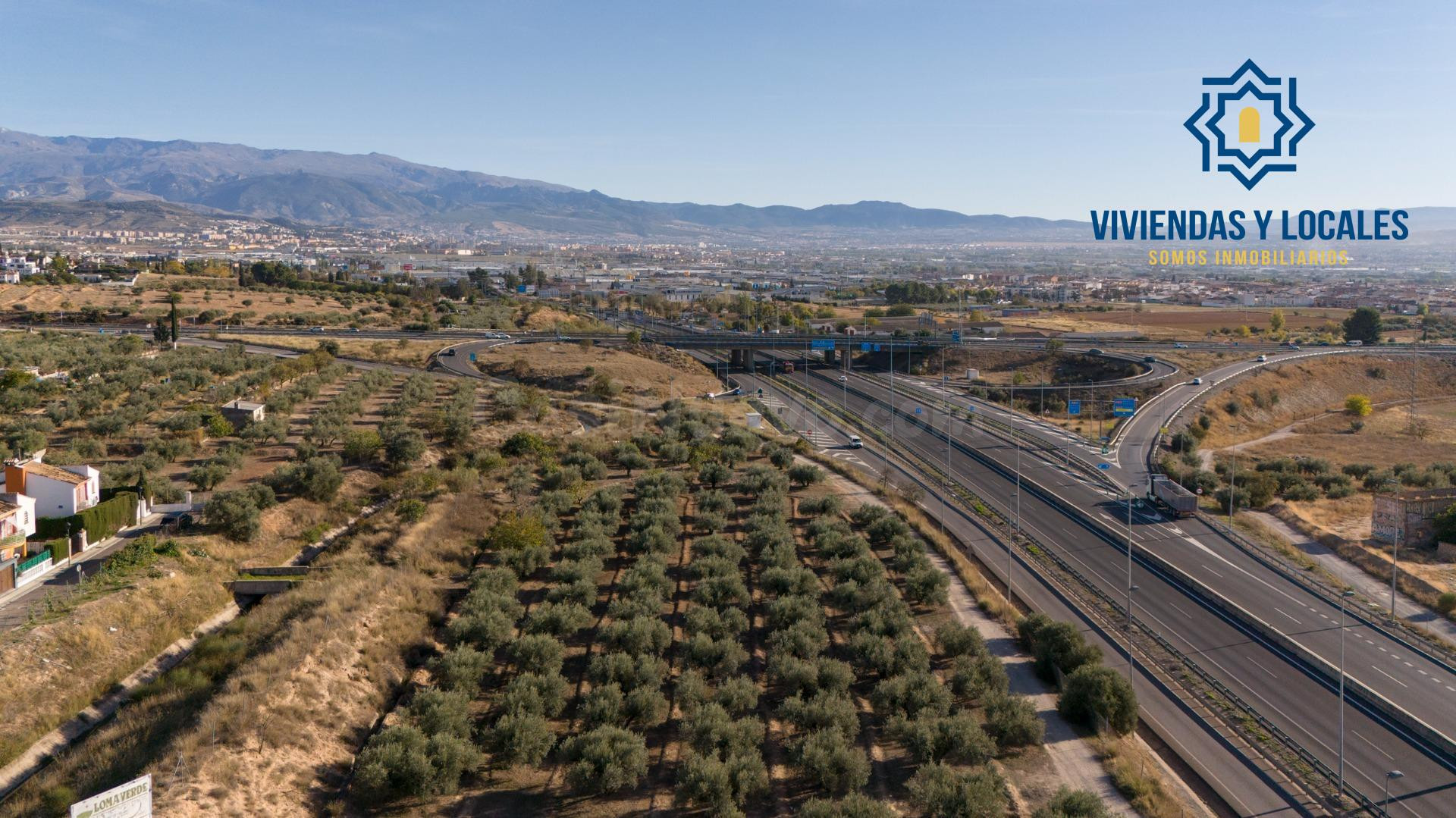 Oportunidad Única en Loma Verde: Suelo Urbano para Vivienda  - foto 4