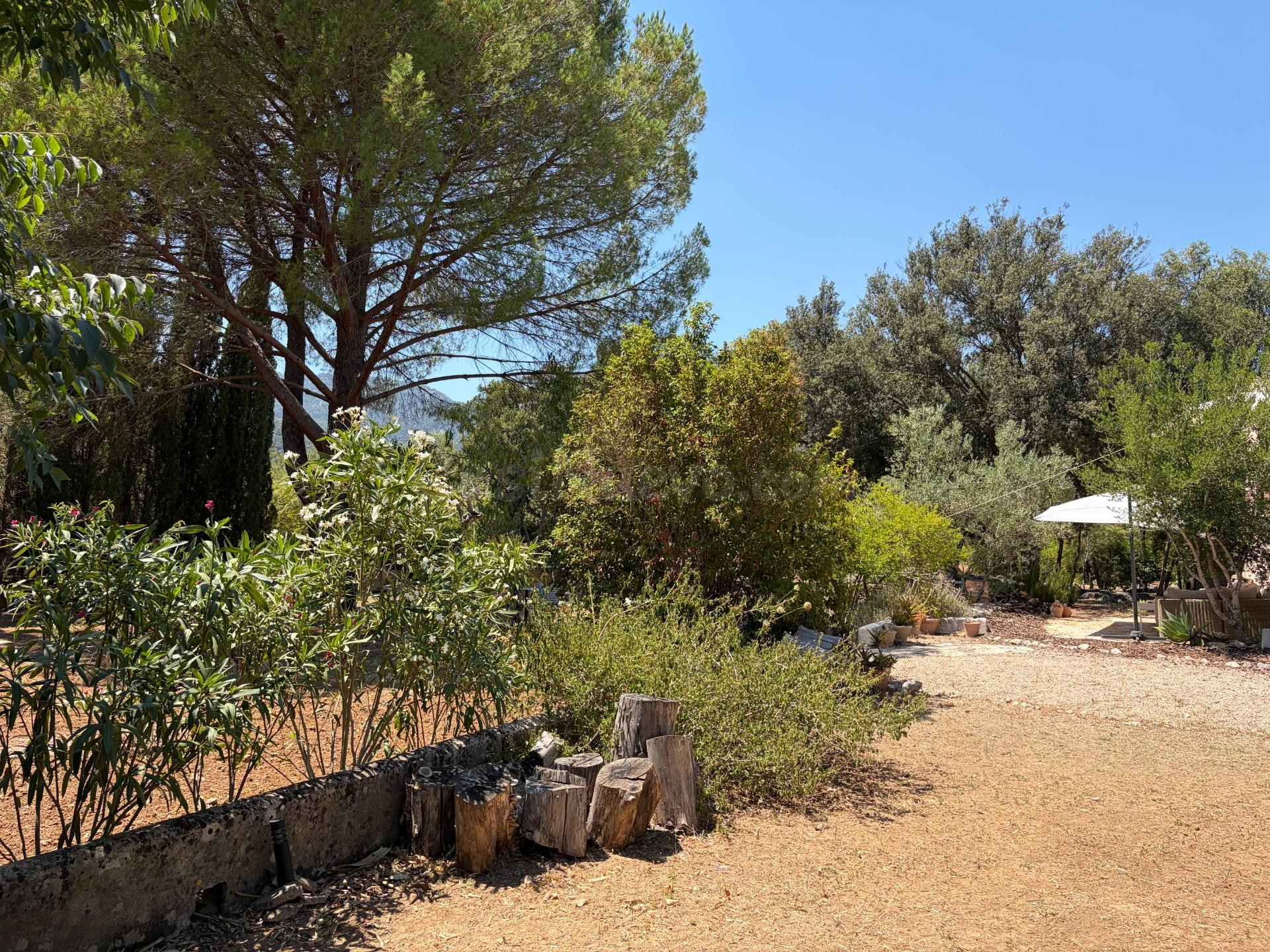 Donde el tiempo se detiene, finca en Campanet - foto 5