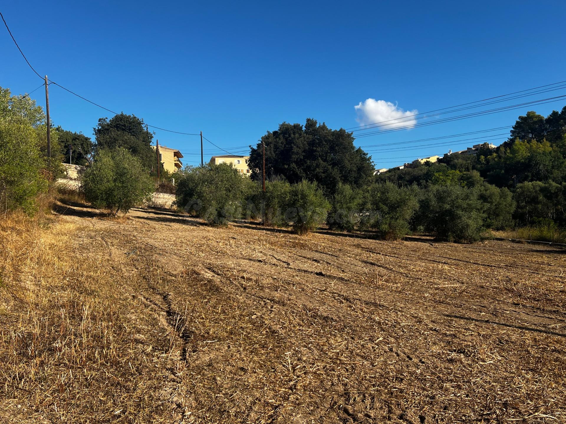 Finca rústica Campanet