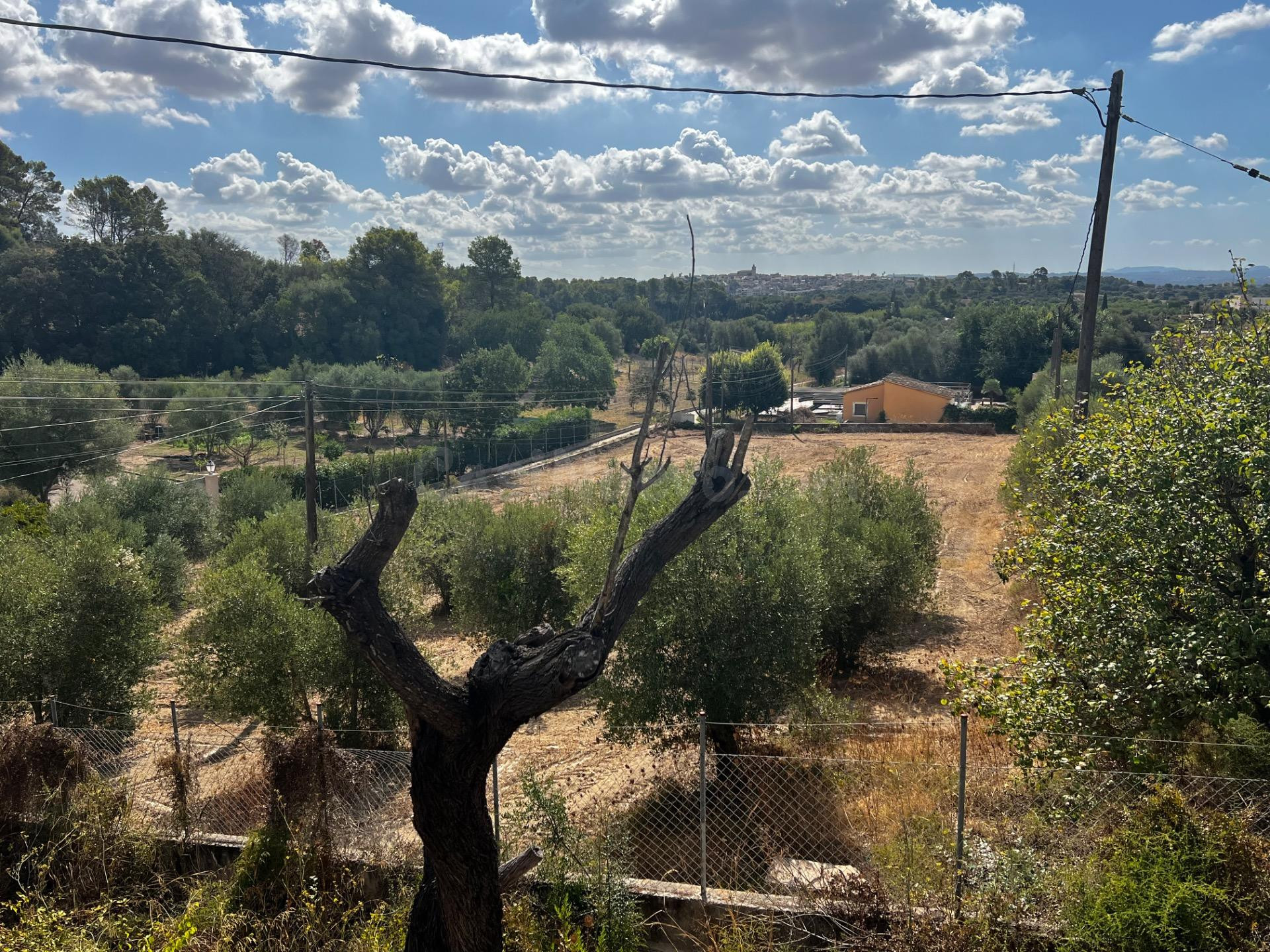 Finca rústica Campanet - foto 4