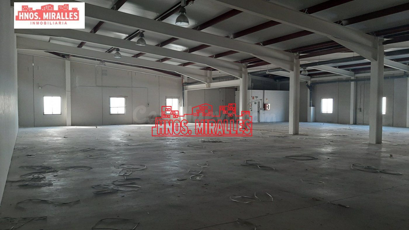 INTERESANTE NAVE EN EL POLIGONO DE CARRUS DE UNOS 1,600M2 ,  - foto 5