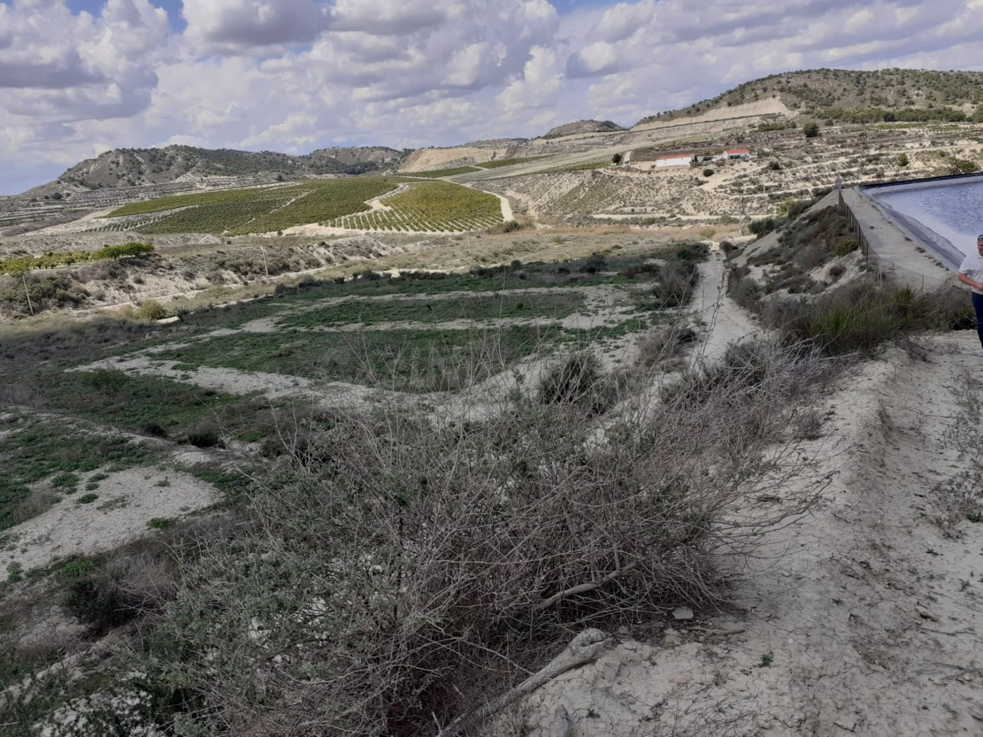 FINCA RUSTICA EN TORREMENDO - foto 2