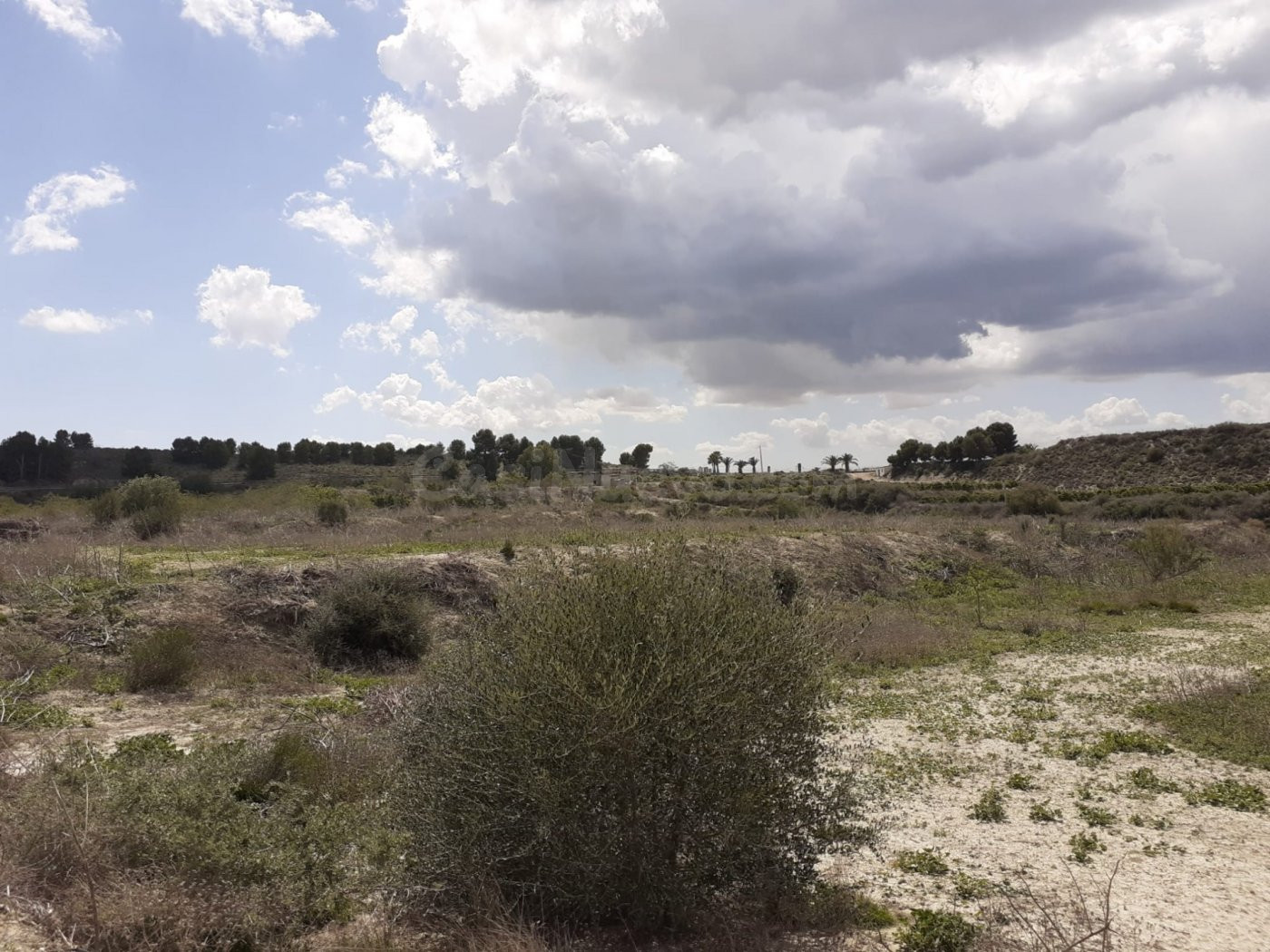 FINCA RUSTICA EN TORREMENDO - foto 4
